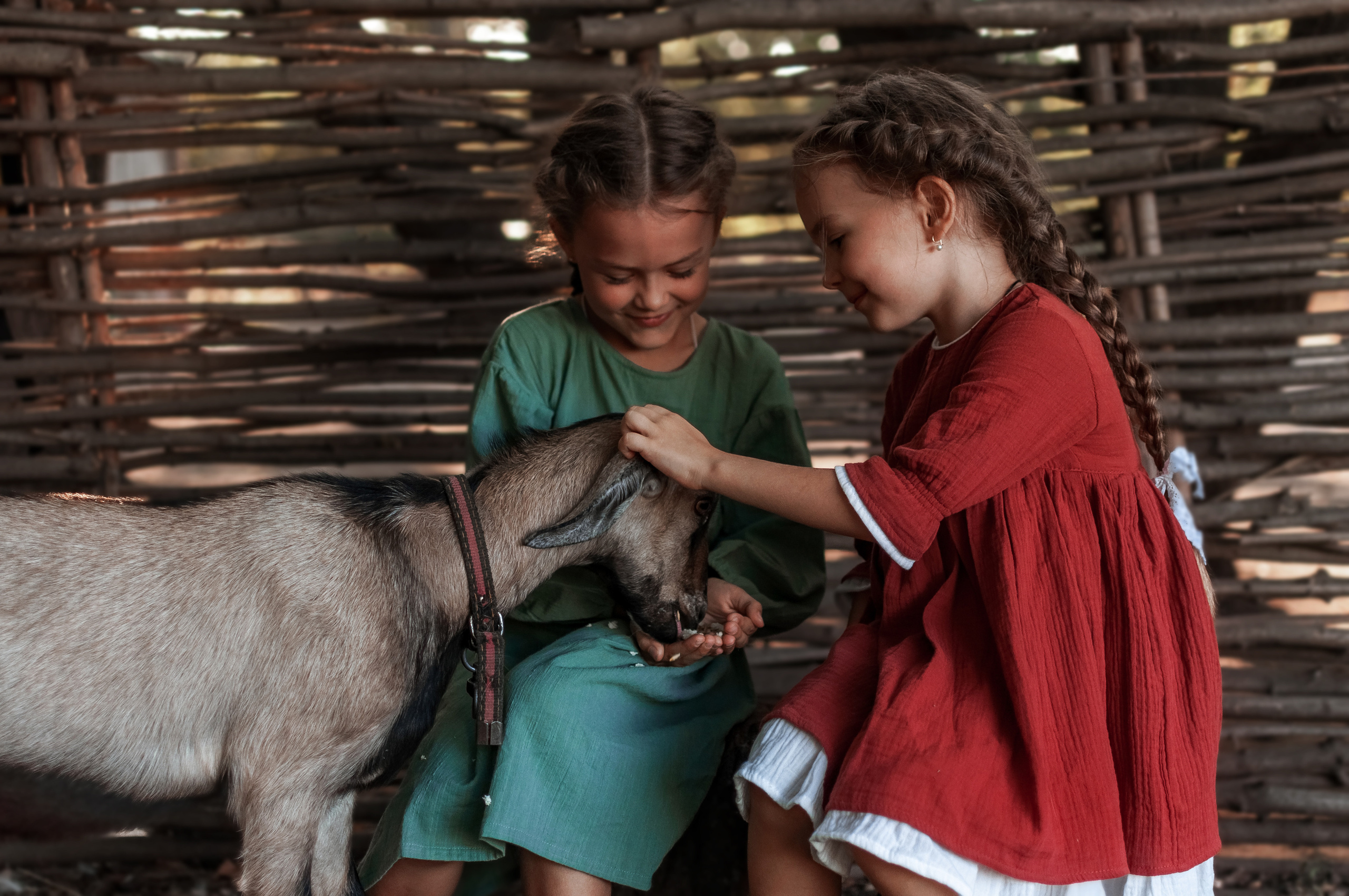 Прогулка по Ранчо. Семейный, детский фотограф в Воронеже Анна Никитина