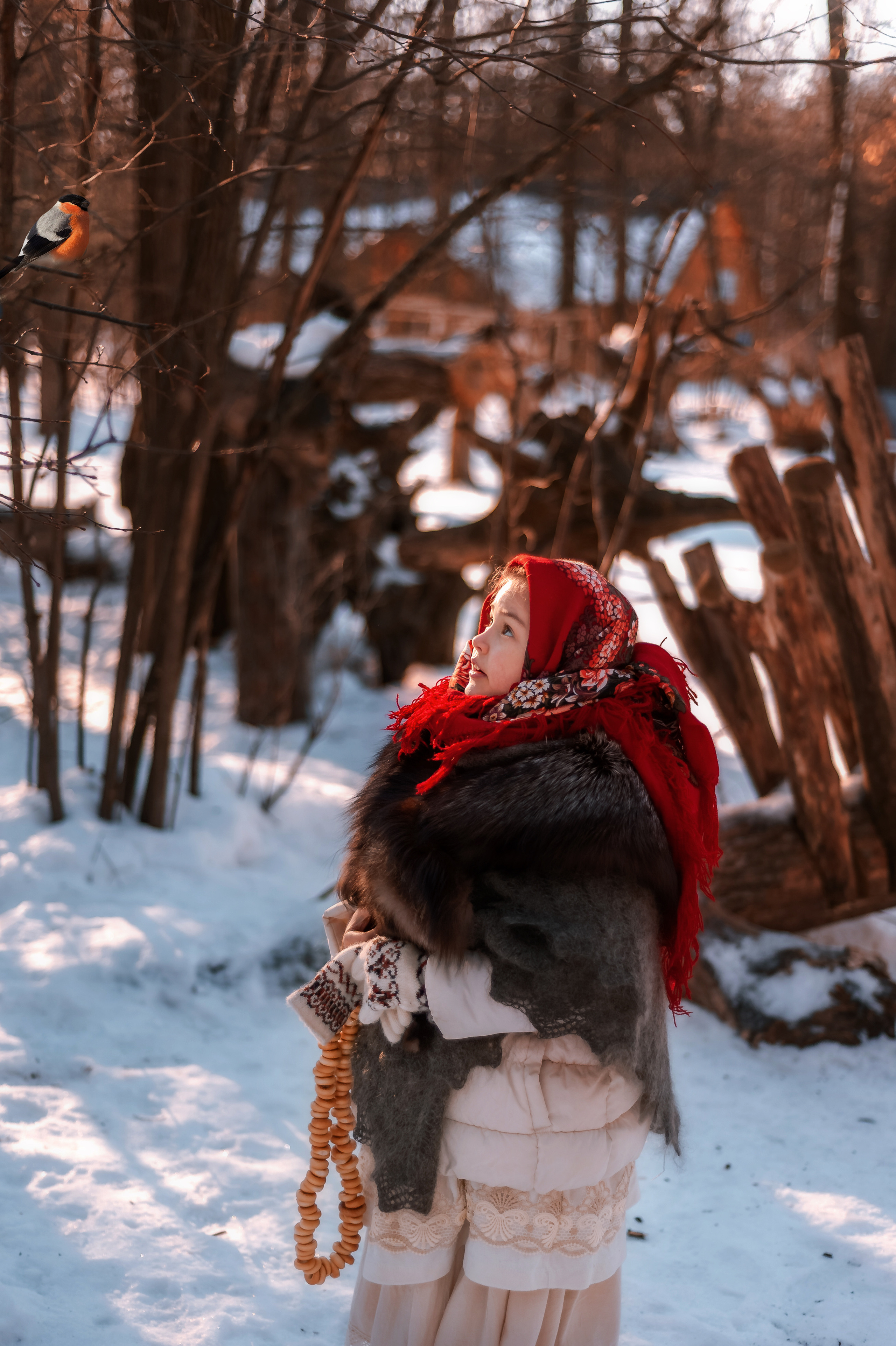 Русская зима. Семейный, детский фотограф в Воронеже Анна Никитина