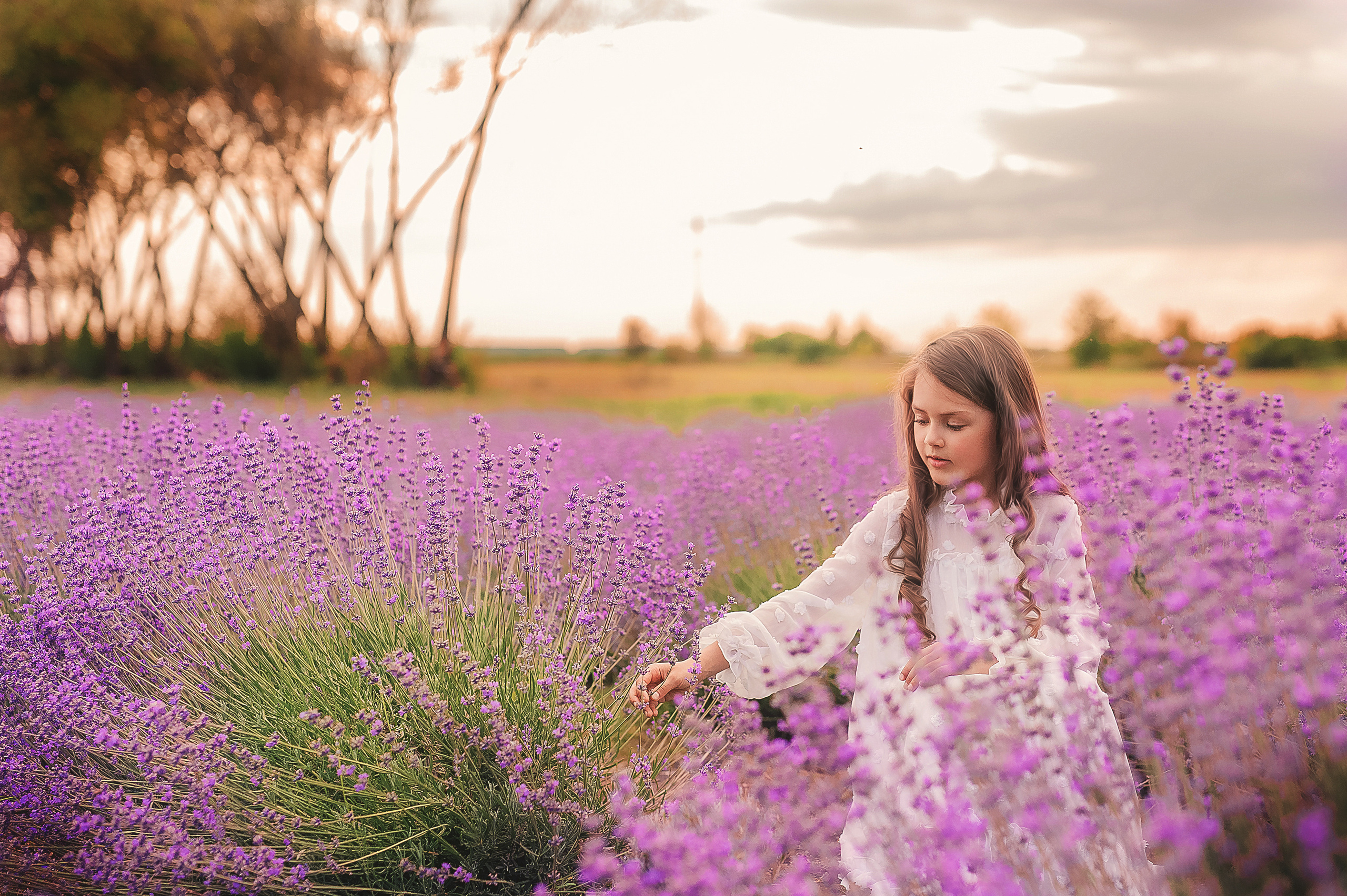 Лаванда. Семейный, детский фотограф в Воронеже Анна Никитина