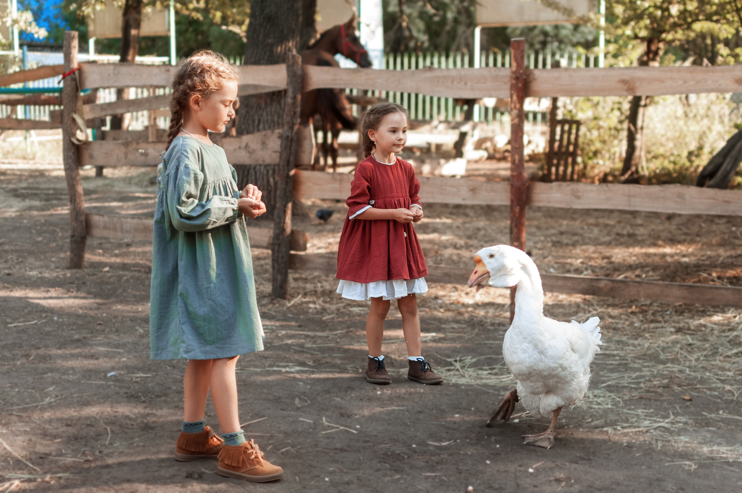 Прогулка по Ранчо. Семейный, детский фотограф в Воронеже Анна Никитина