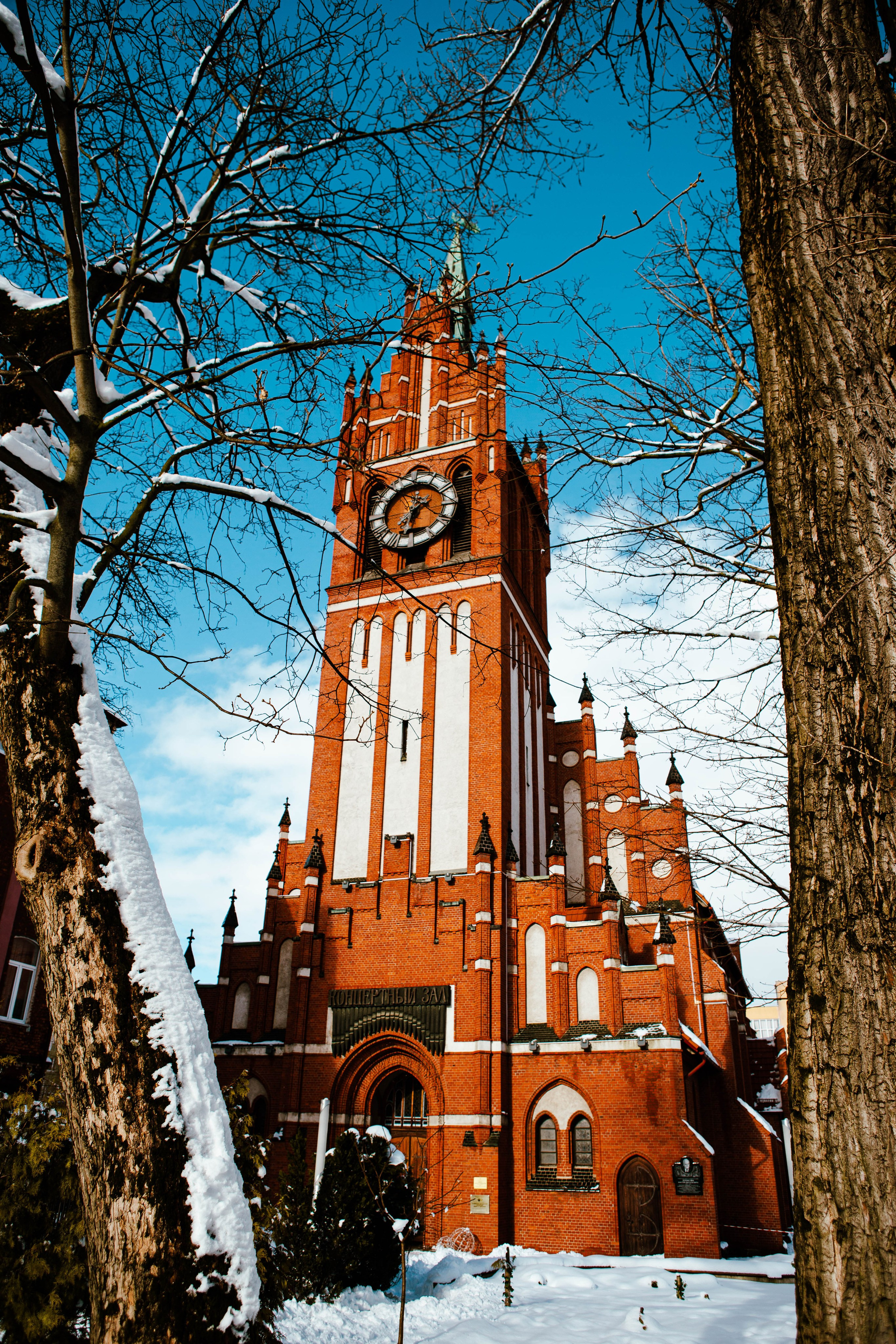 КАЛИНИГРАД. Репортажный и портретный фотограф Михаил Мартиросян