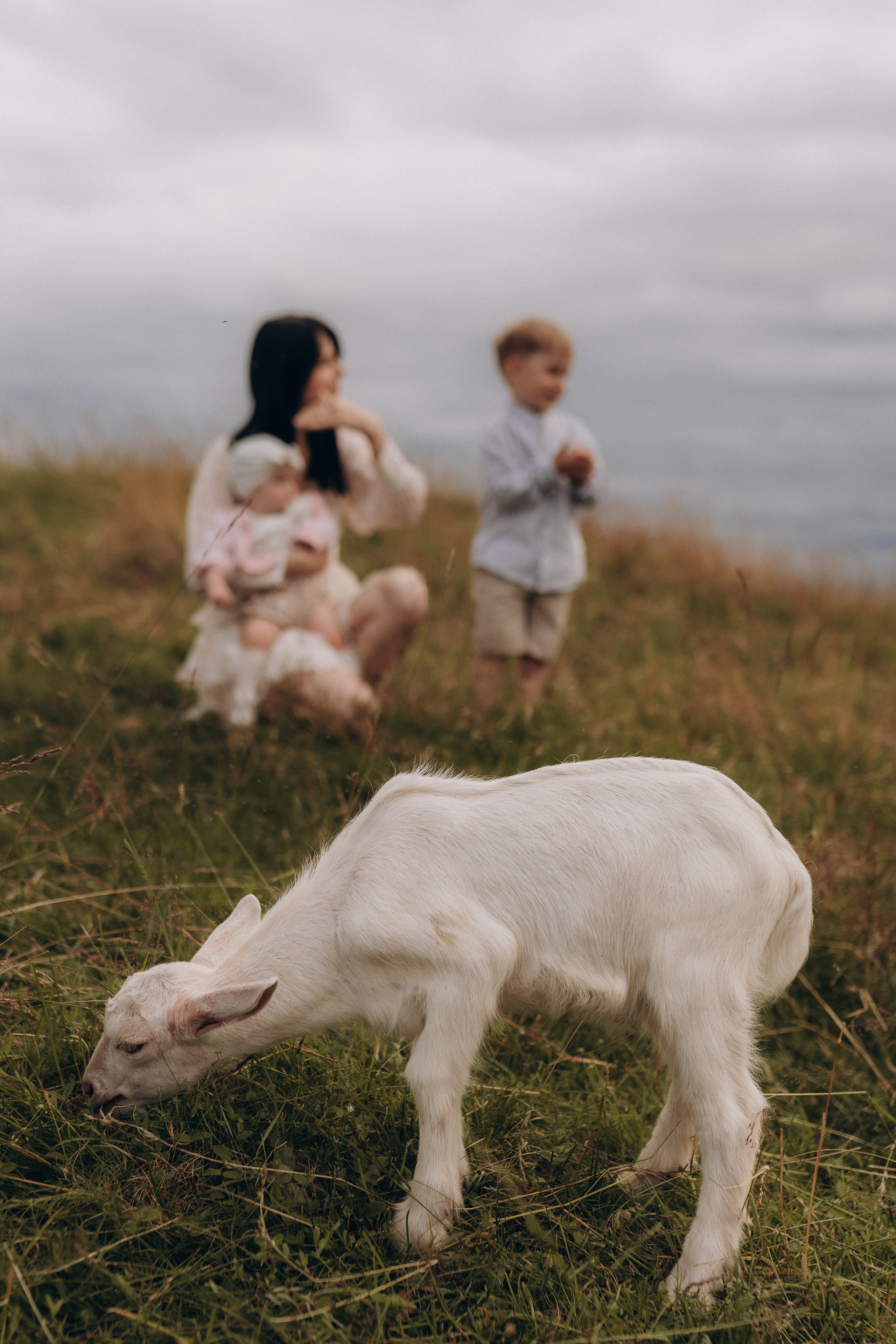 Алла. Фотограф Торопец Кристина Абрамова Kanwellia photography