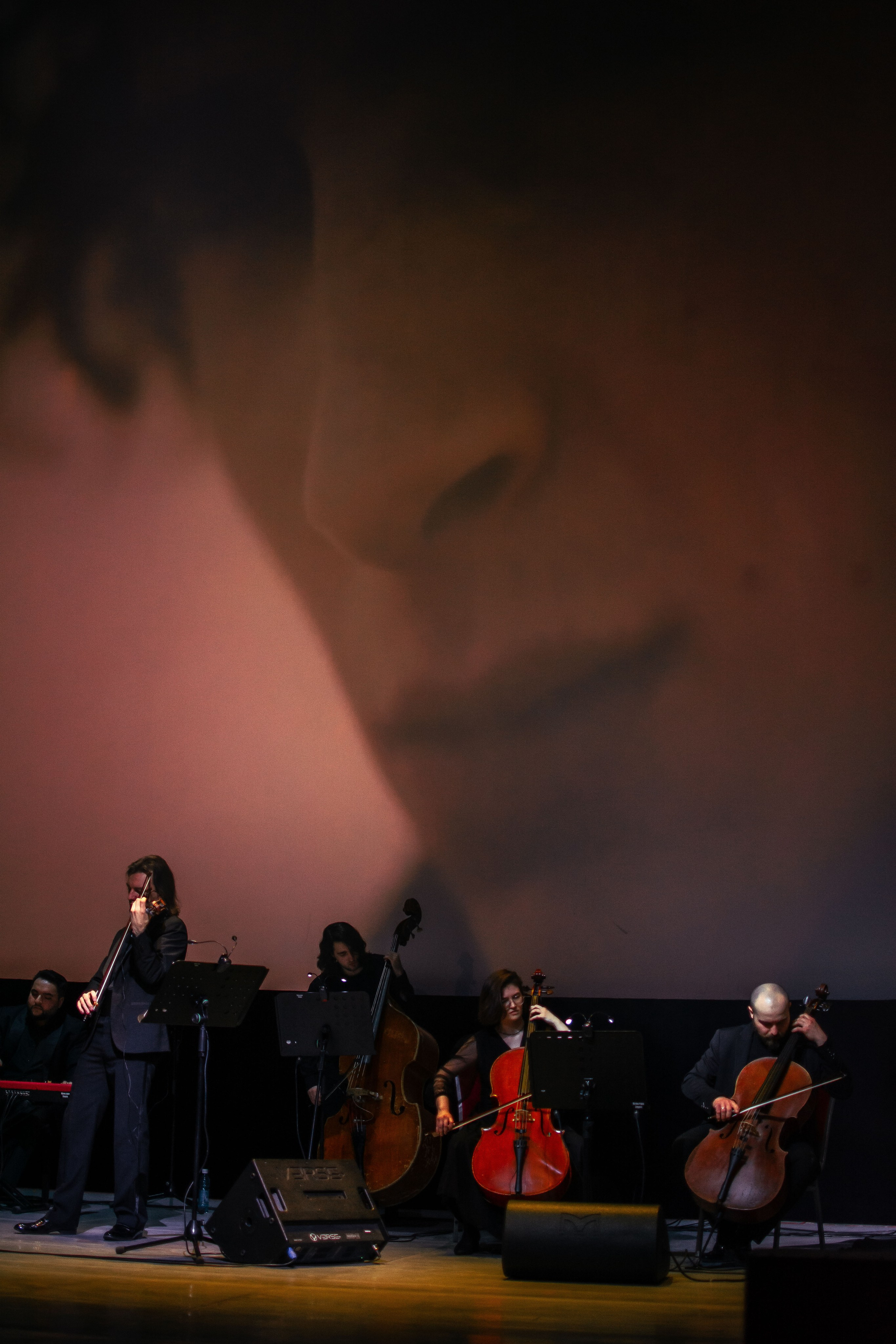 Концерт оркестра Cinematica. Репортажный фотограф в Новосибирске