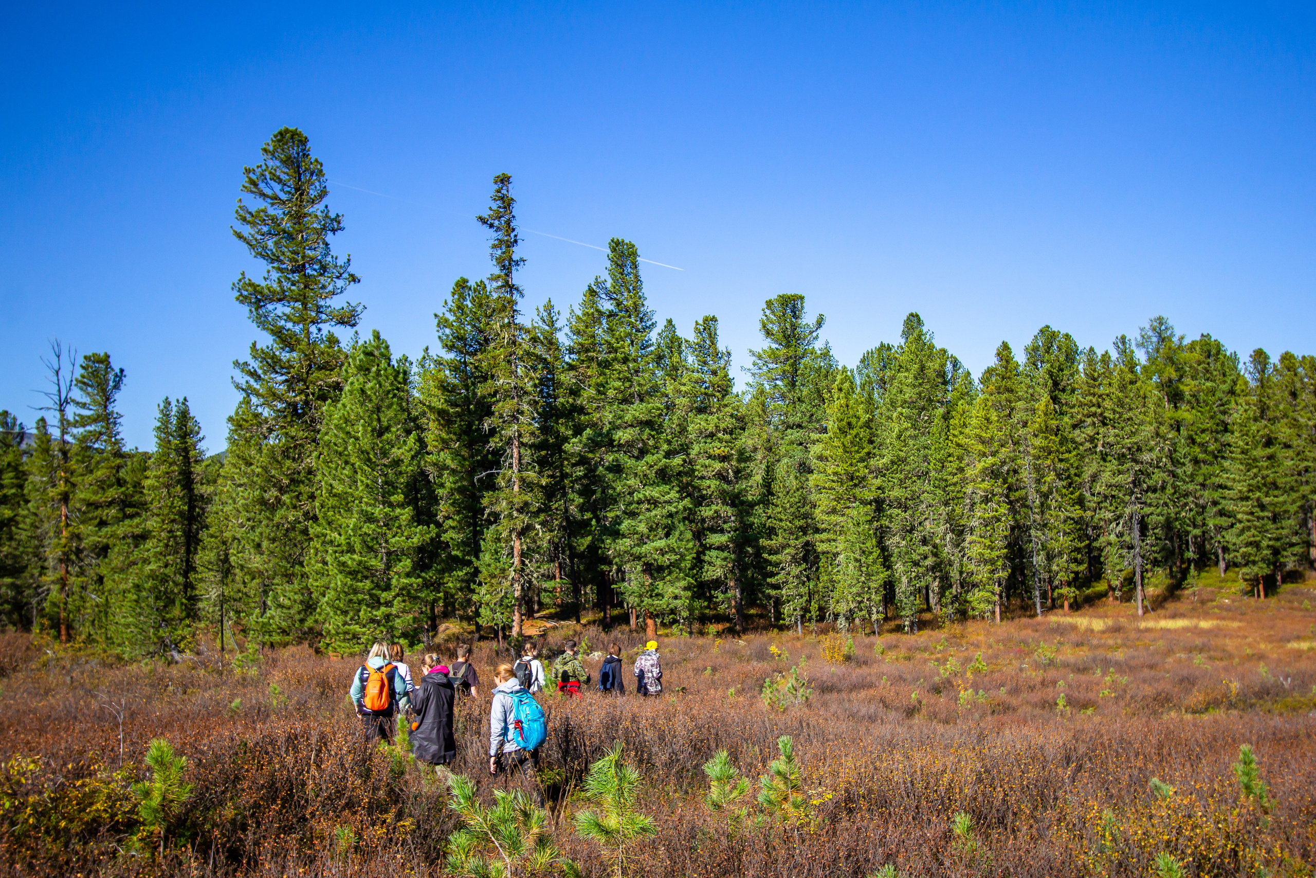 Тыва и Хакасия. Travel-фотограф Ирина Милинцова