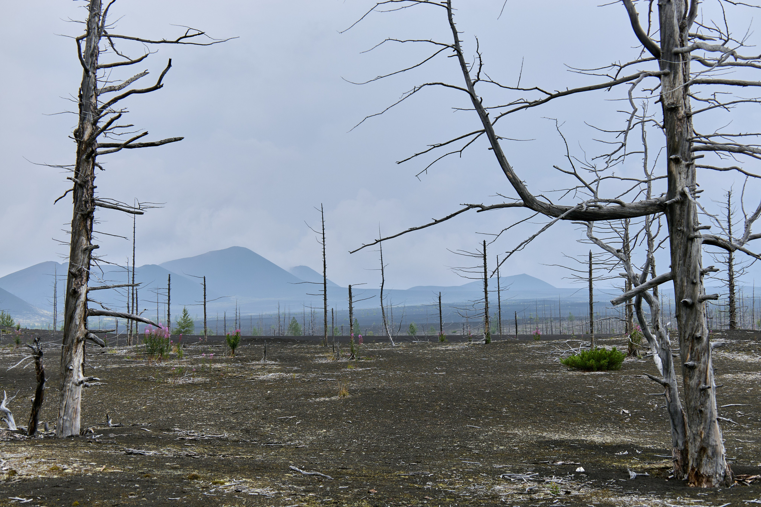 Камчатка. Travel-фотограф Ирина Милинцова