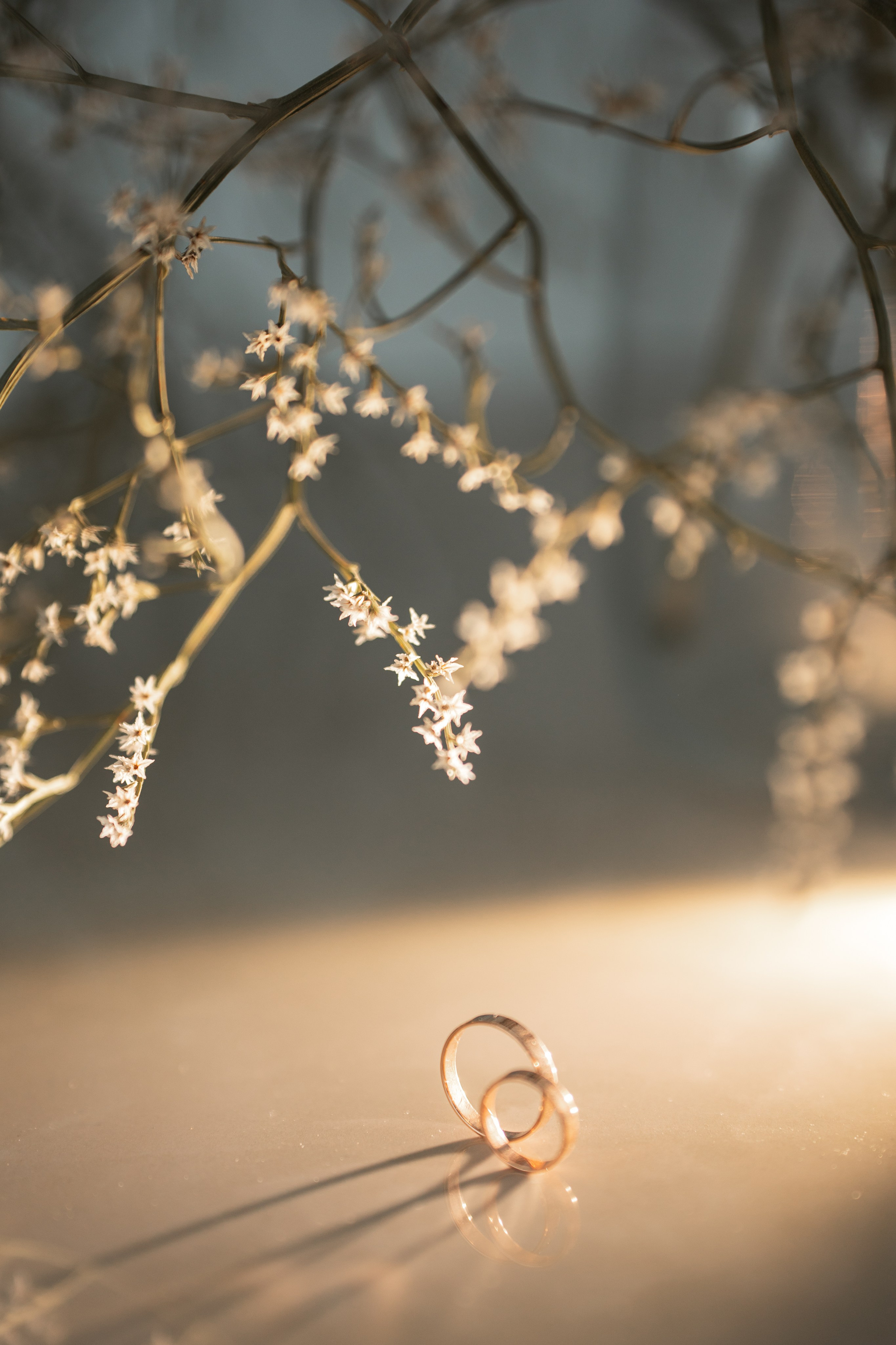 Свадьба. Артур и Екатерина. Фотограф Марта Козел. Гродно, Беларусь