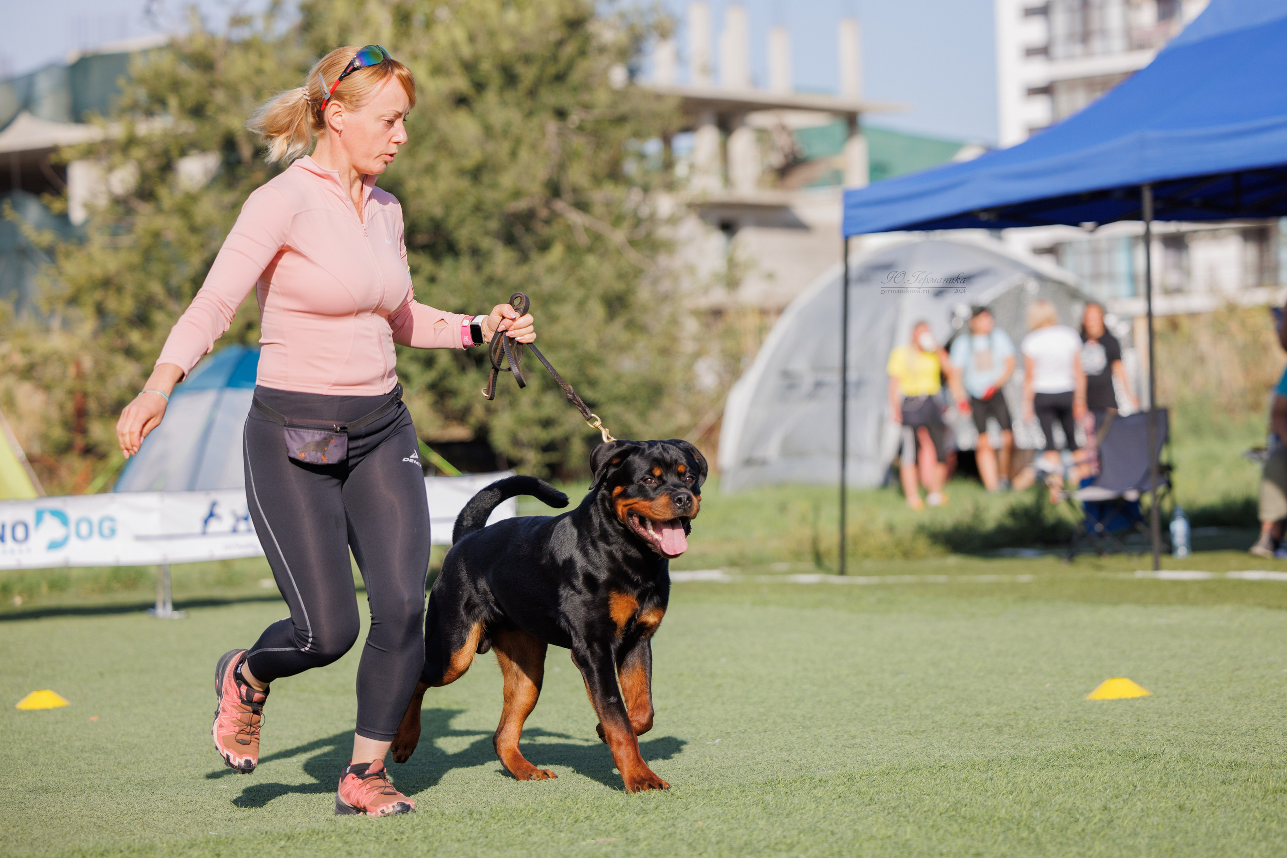 Анапа ротвейлеры 14-15.09.2024. Фотограф-анималист Юлия Германика