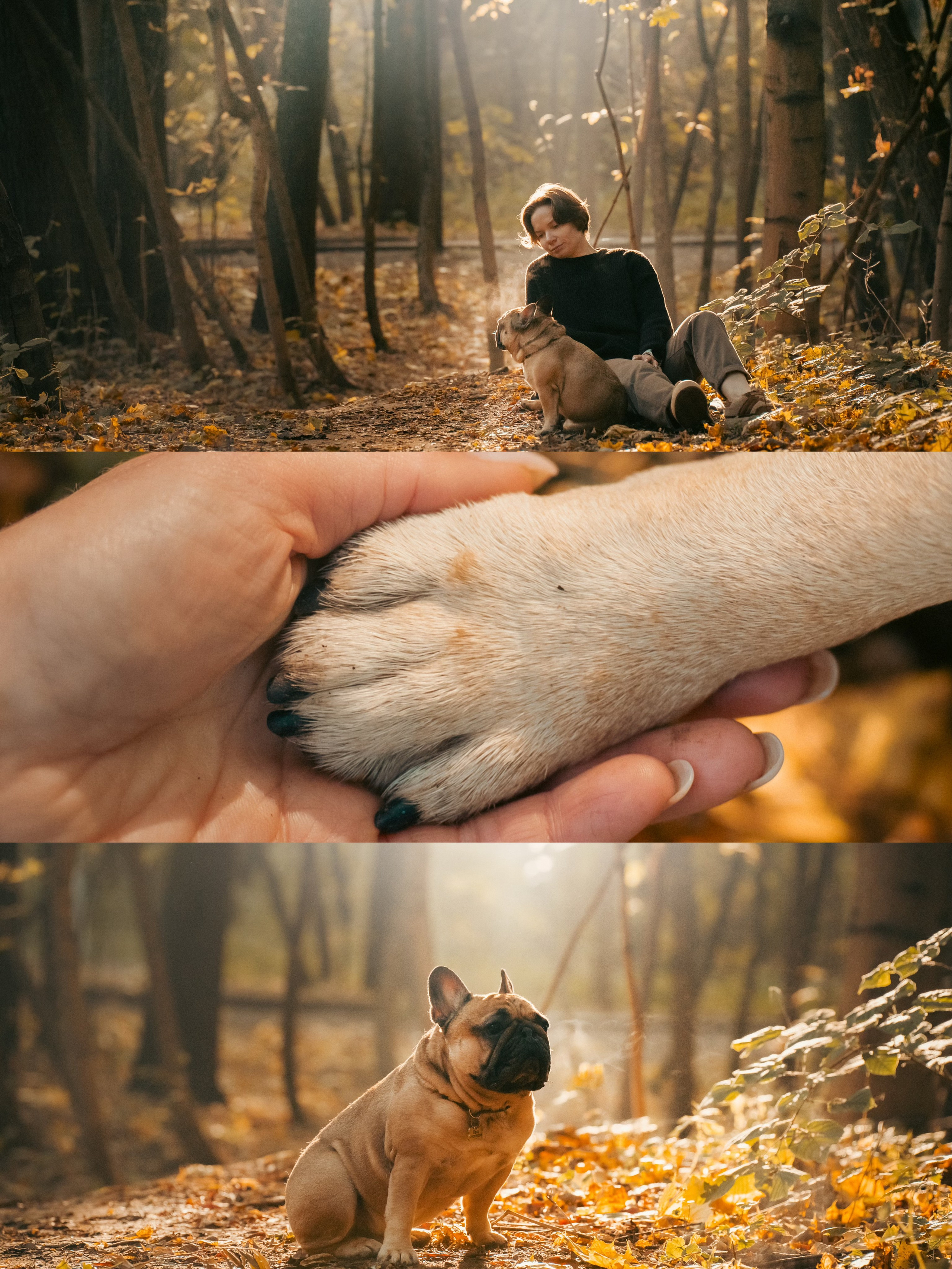 Анастасия и Бенц. Фотограф анималист в Москве и Санкт-Петербурге Свиридова Анна