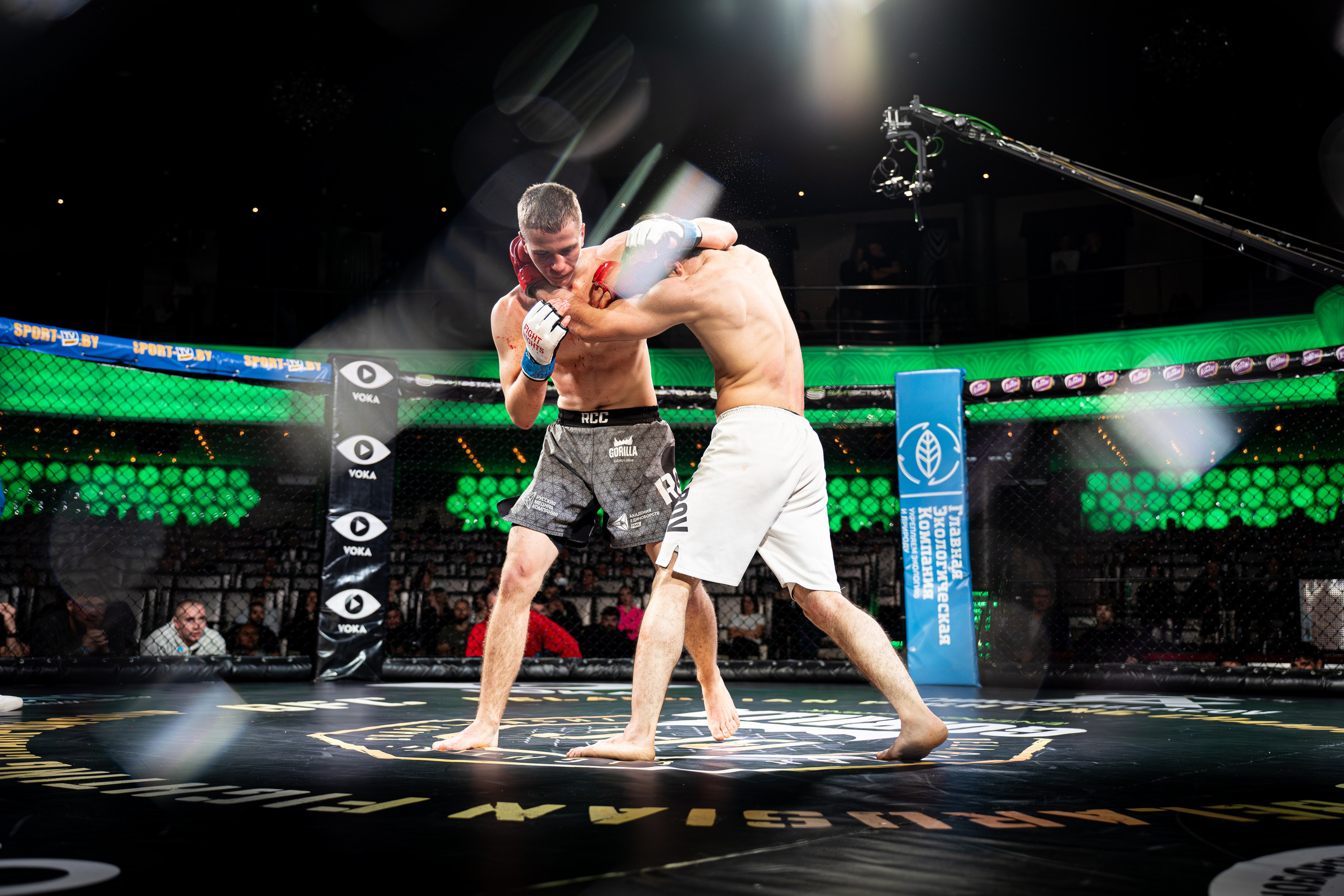 BFC — 75. Профессиональный фотограф в Минске Александр Быдрицкий