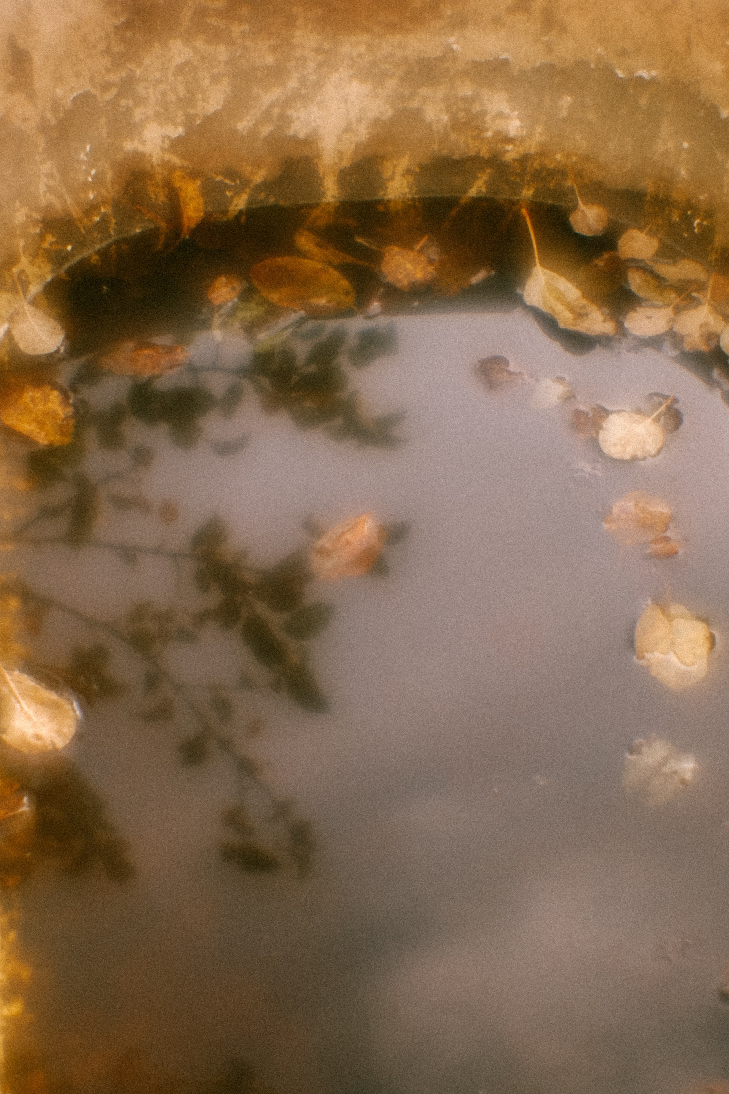 Пикториальный альбом. Семейный LIFESTYLE фотограф в Москве