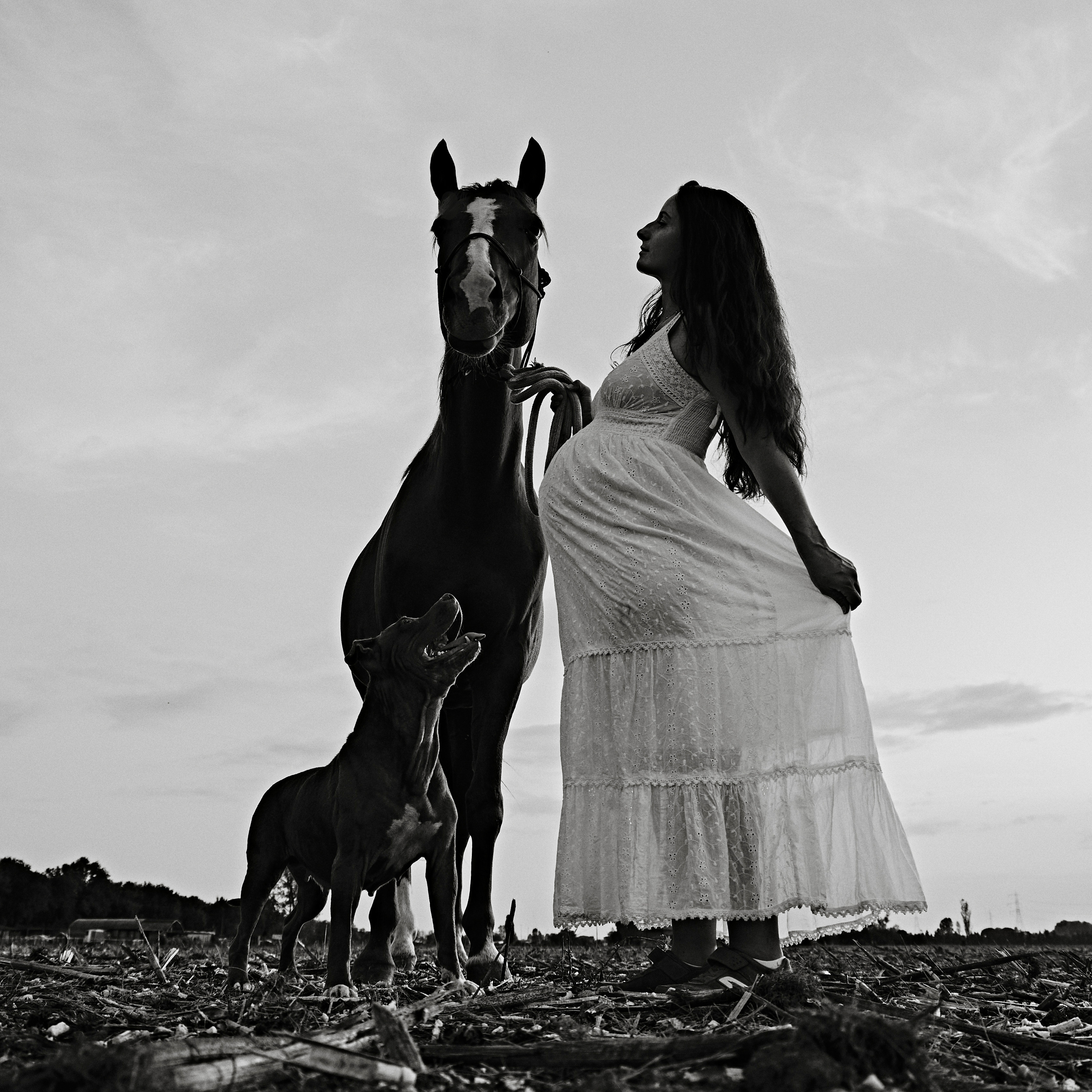 Foto con cavalli. Fotografo di famiglie e ritrattista in Italia (Toscana)
