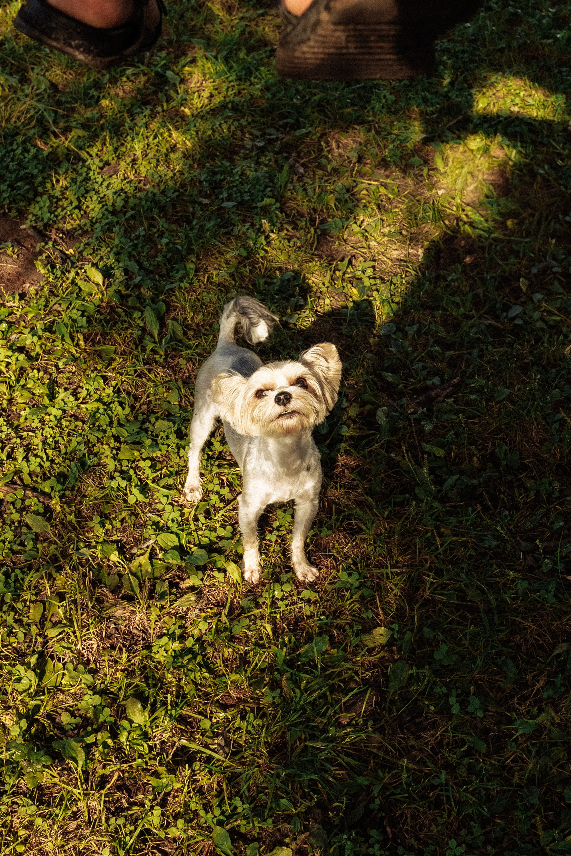 Ольга & Анна. Фотограф из Хабаровска Юлия Черёмушкина