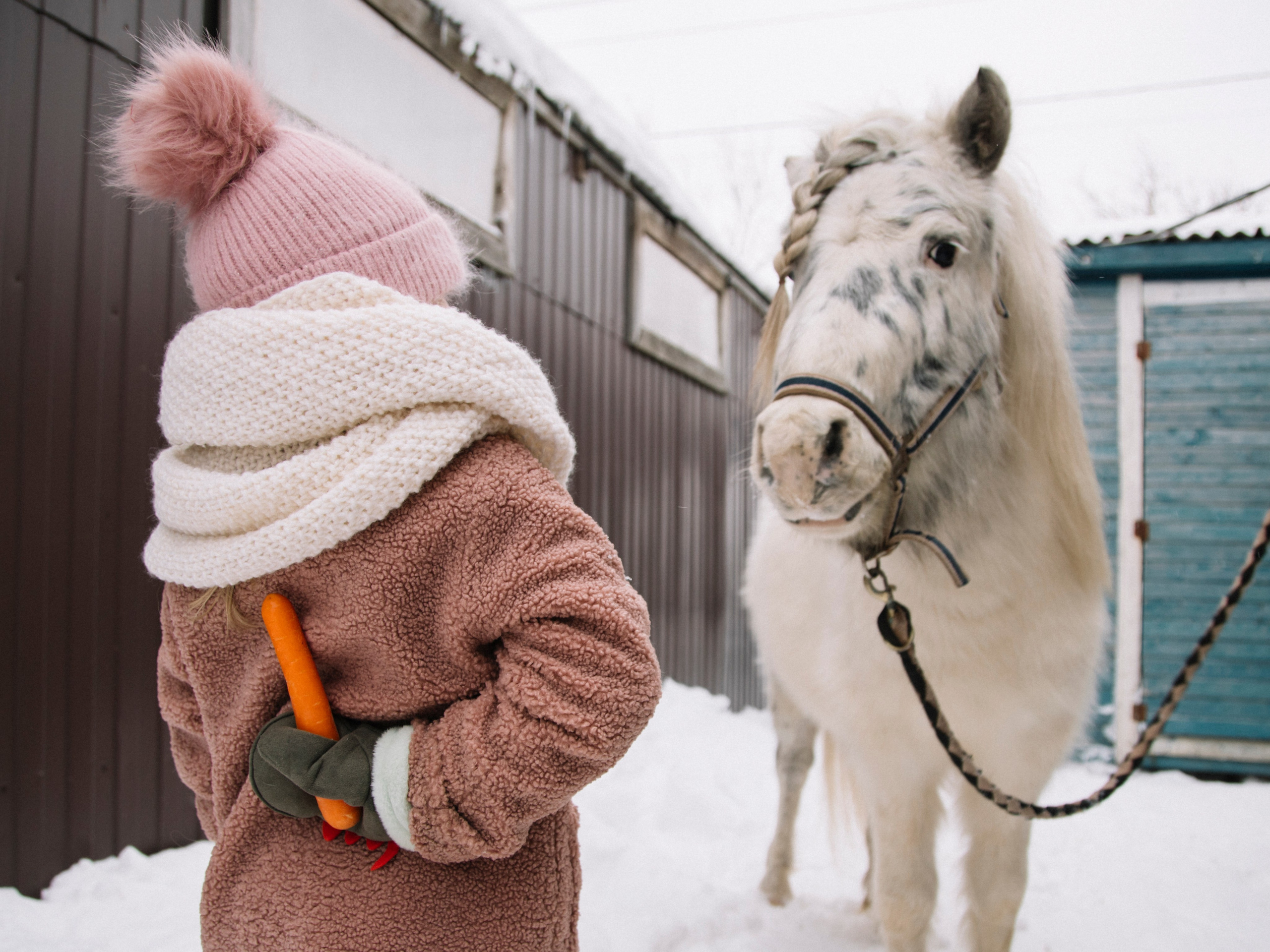 Семейные съемки. Фотограф и видеограф в Санкт-Петербурге Прохорова Надежда