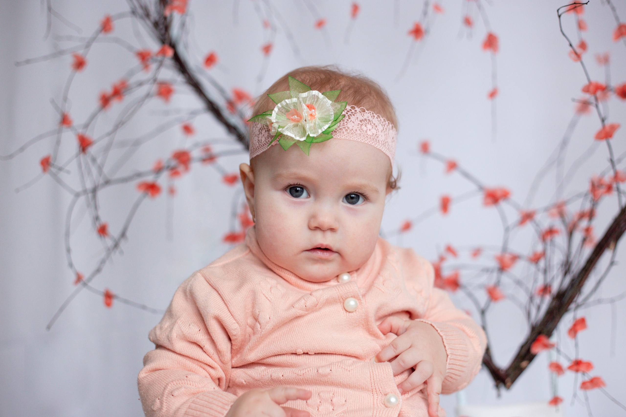 Сердце (14 февраля)