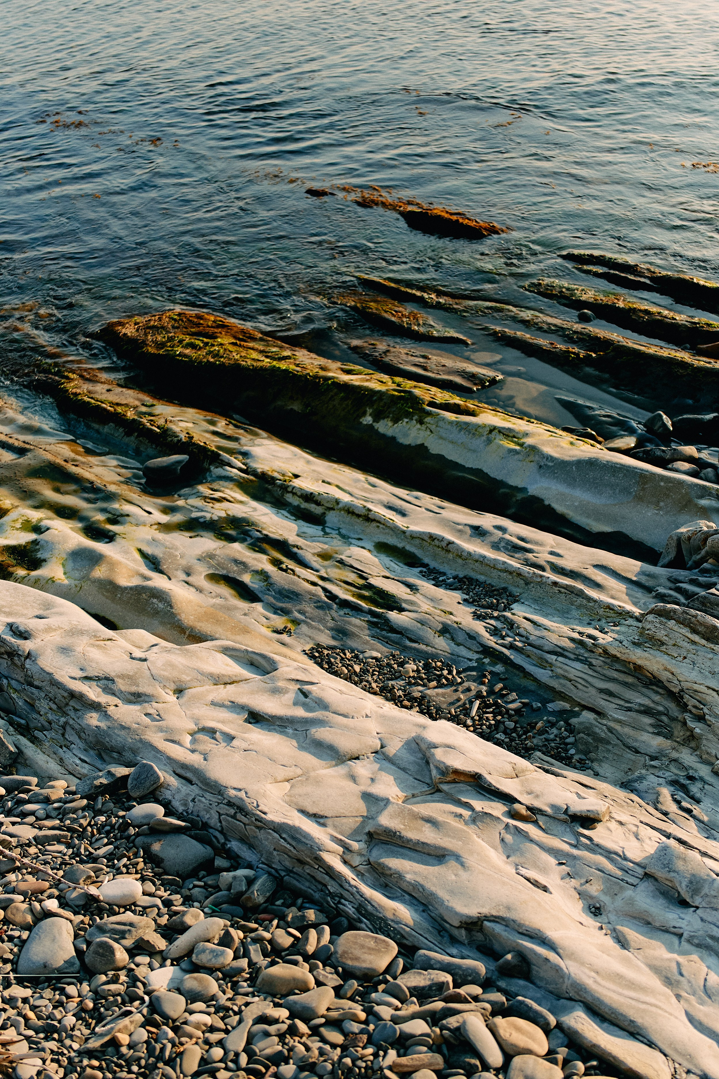 Юг России. Профессиональный Фотограф во Владимире, в Москве и в Суздале — Полина Романычева