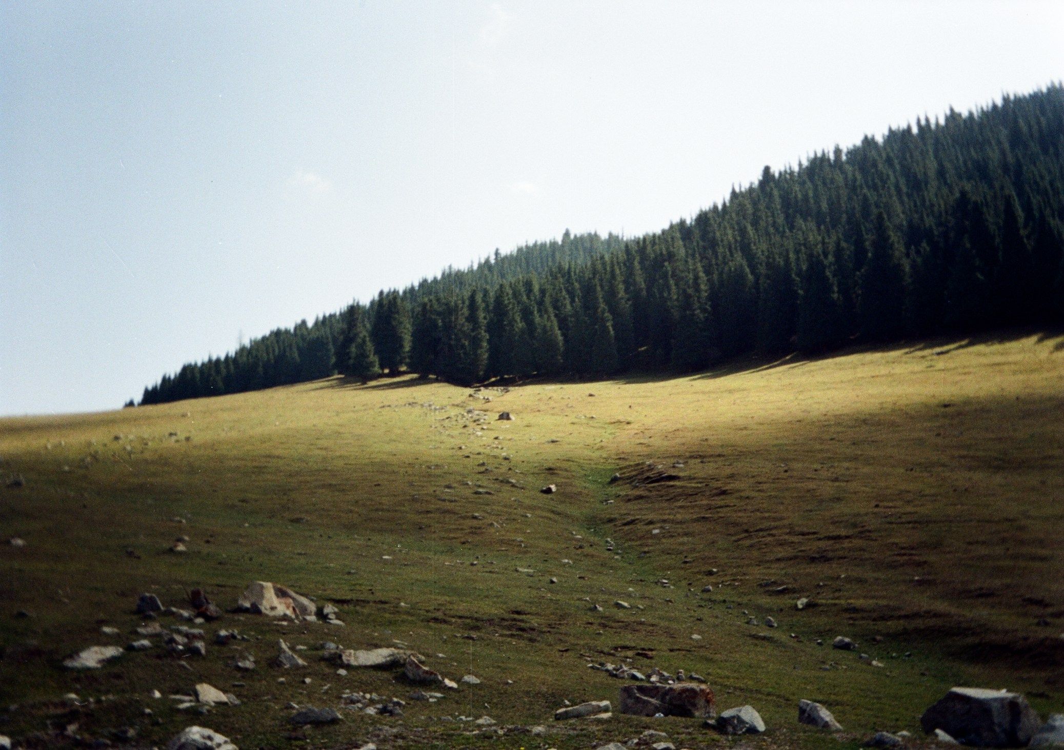Кыргызстан на пленку. Профессиональный Фотограф во Владимире, в Москве и в Суздале — Полина Романычева