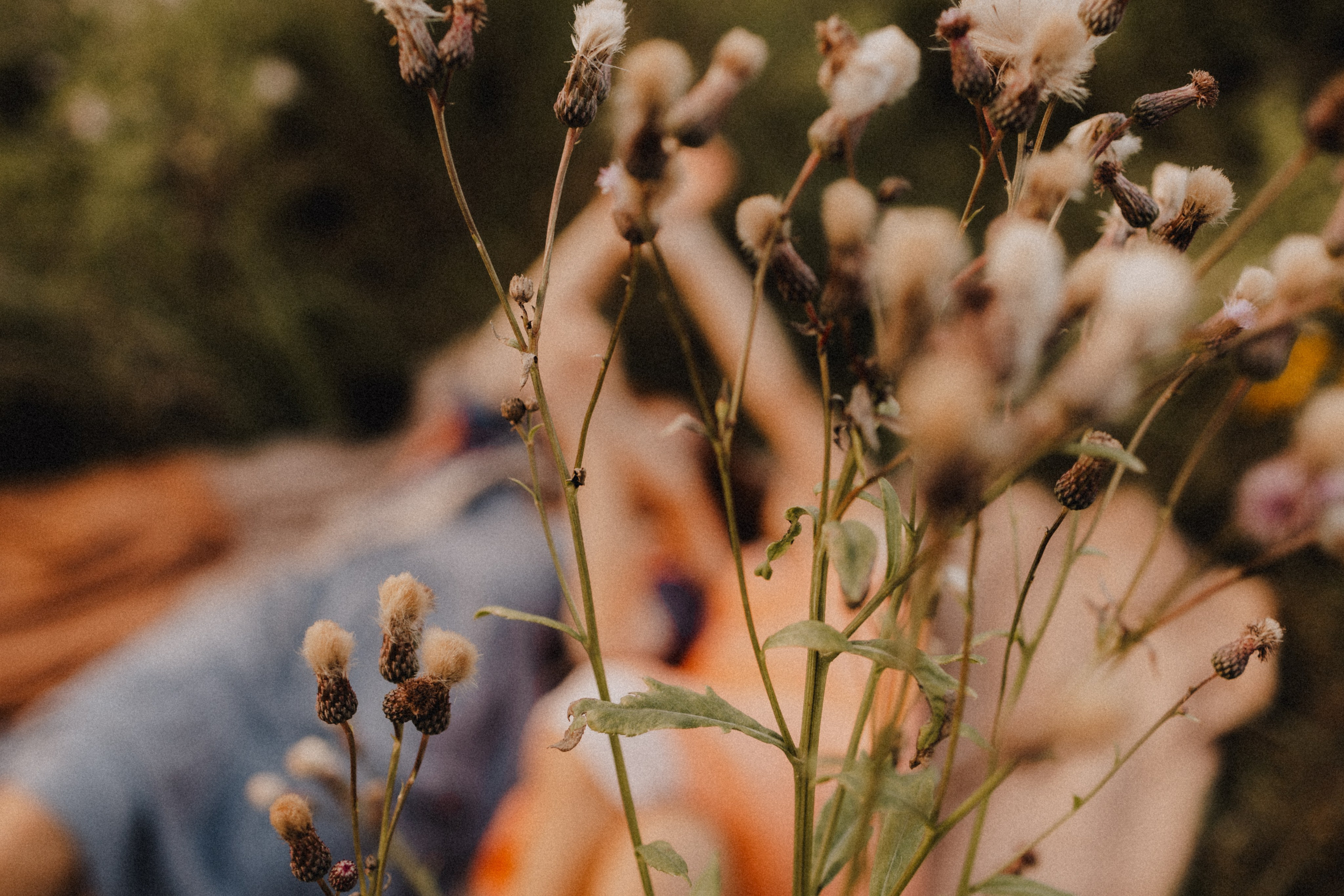 Юля и Настя. Семейный фотограф Москва