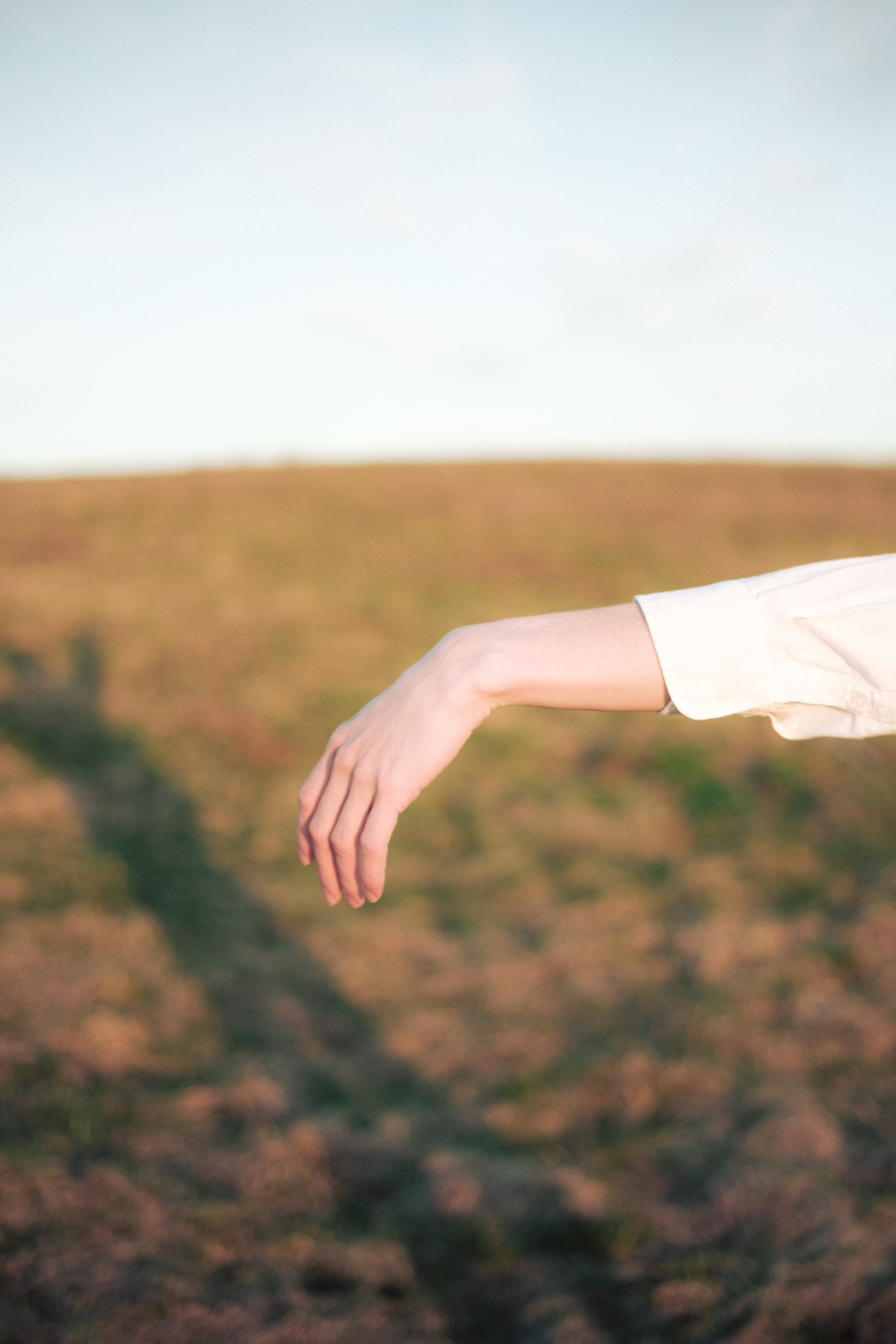 Андрей. Съёмка в поле. Lickord