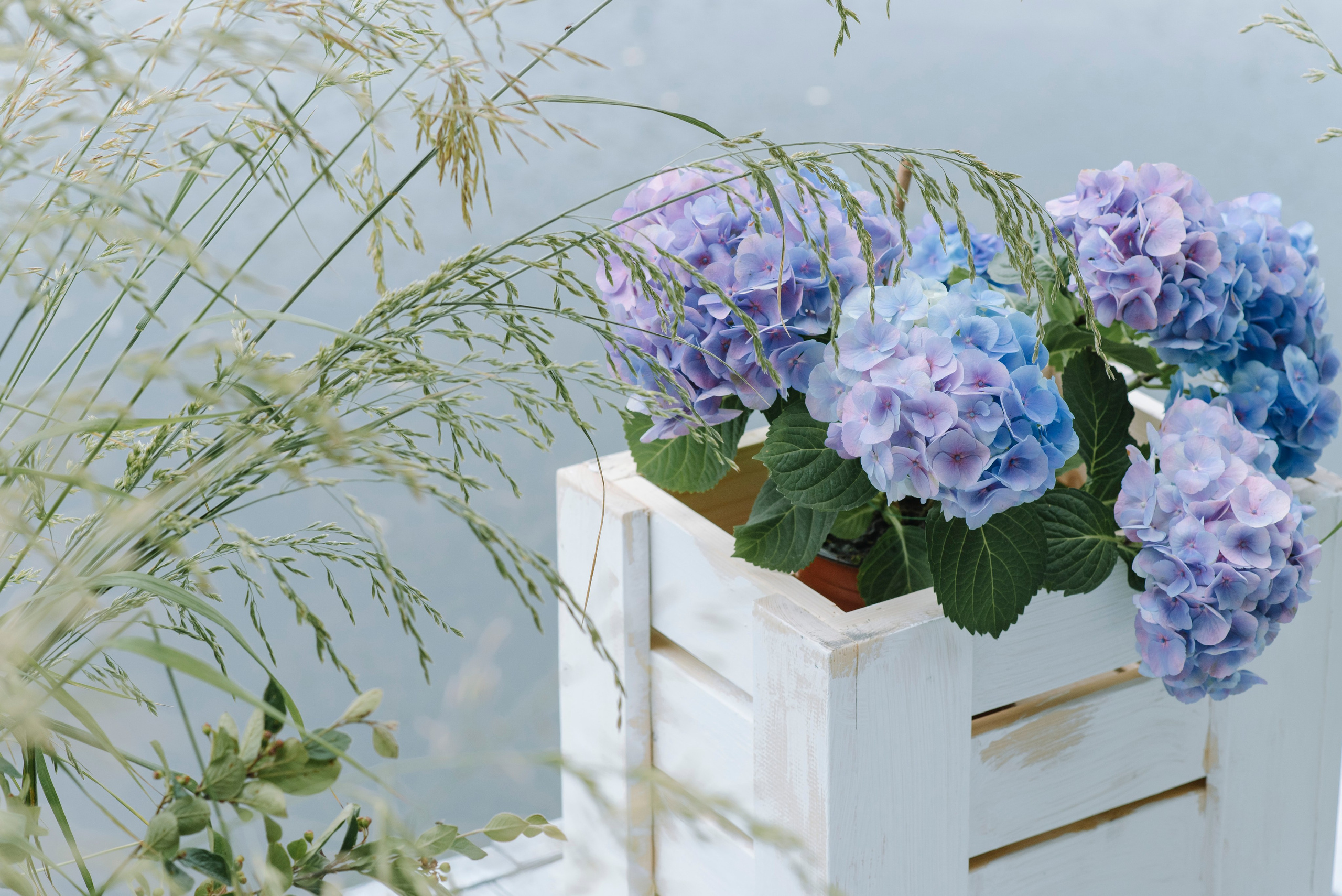 Ресторан Причал. Оформление свадеб, декор свадеб Вера Маркова, Москва