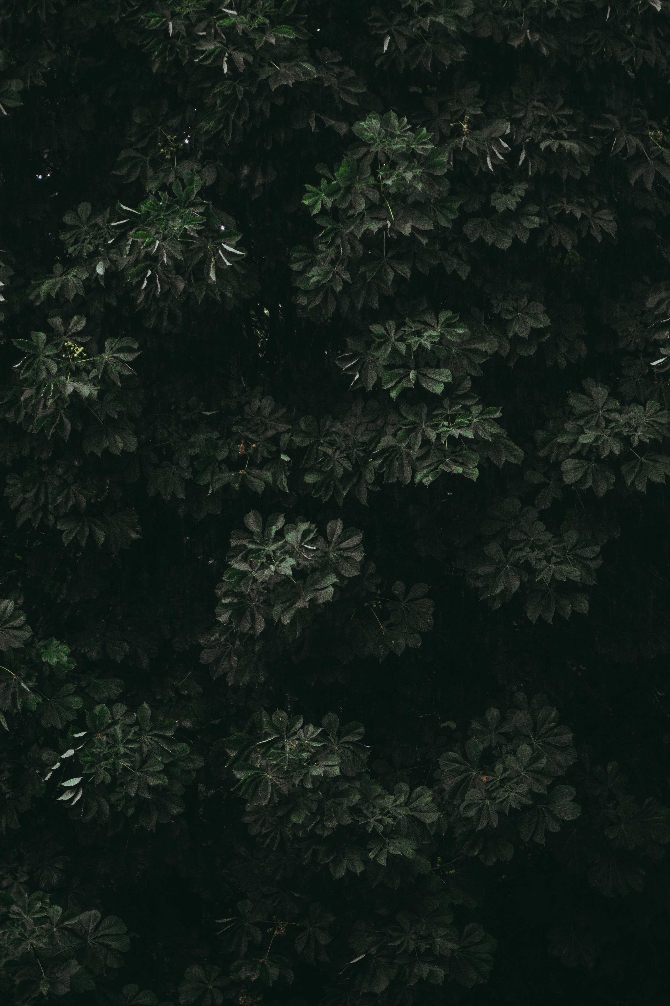 Т Е П Л Ы Й — З Е Л Е Н Ы Й. — Digital Noise —