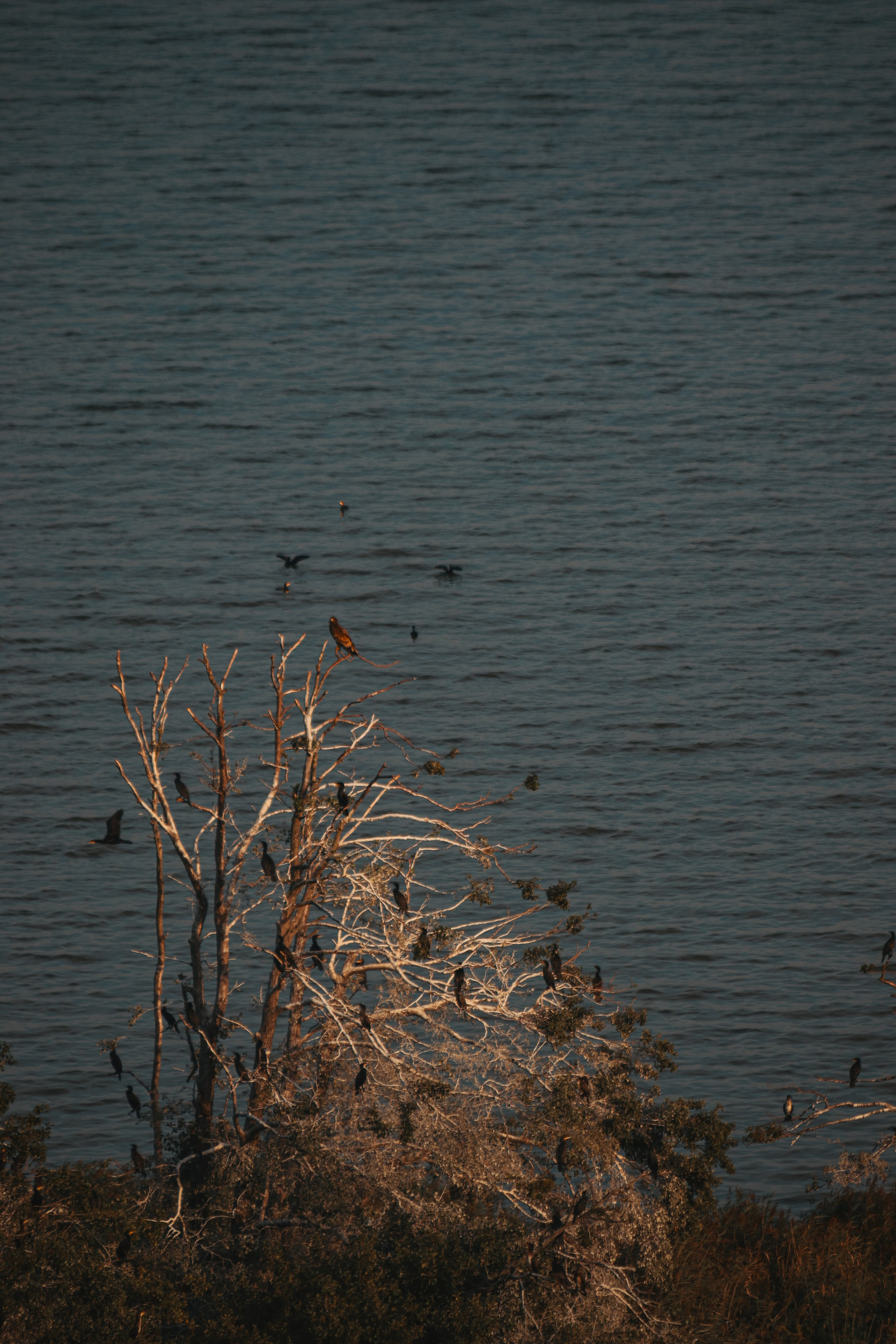 П Е Й З А Ж Н Ы Е. — Digital Noise —