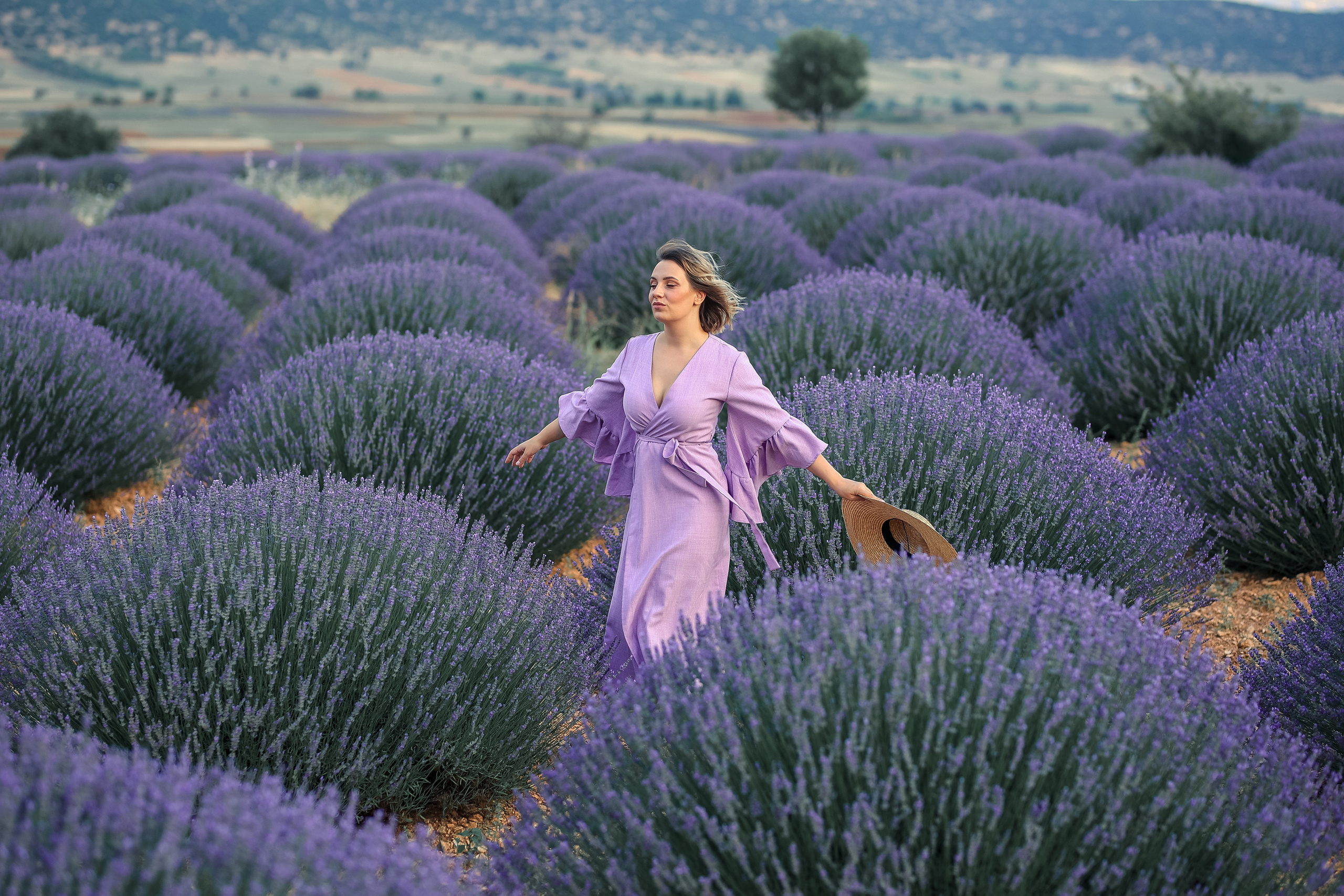 Lavender fields in Turkey