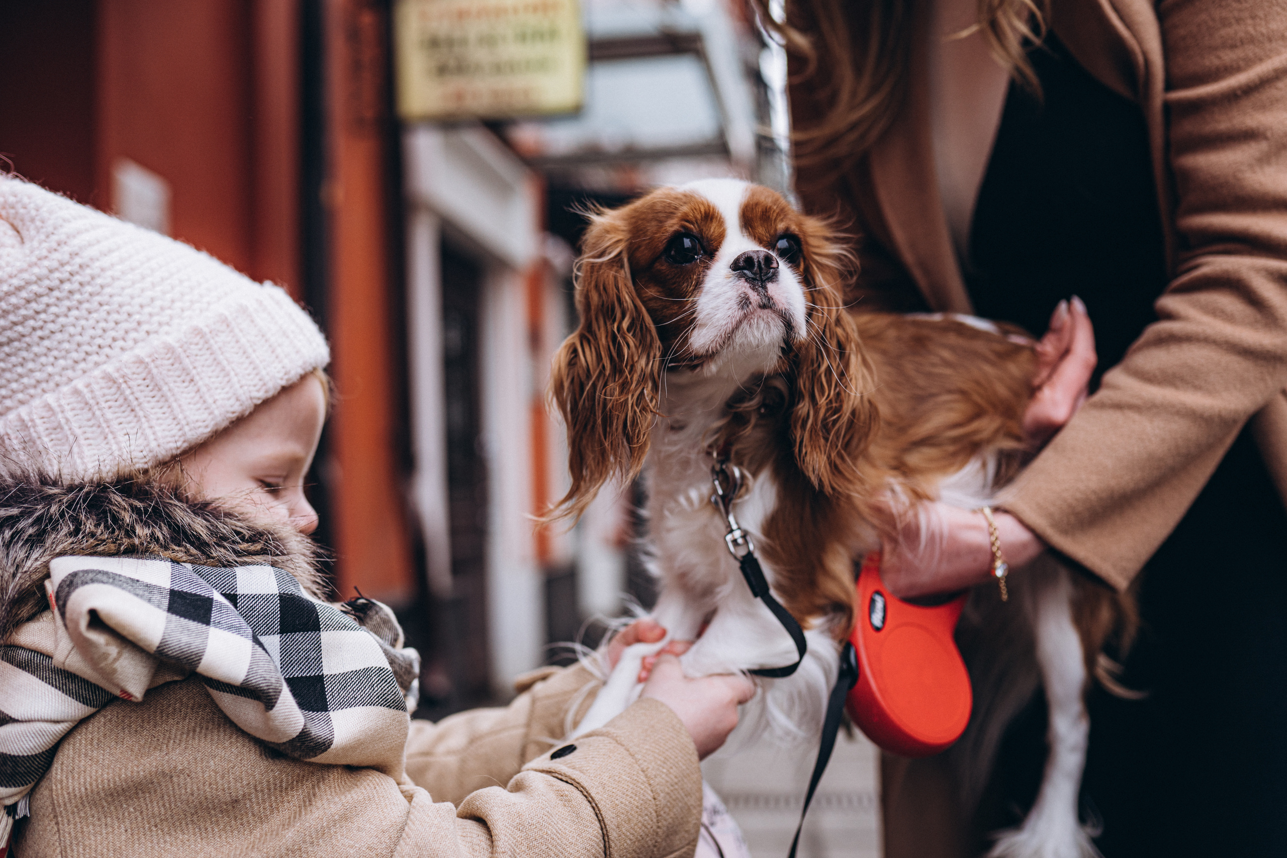 Дарья — Пелагея. Elopement Wedding Photographer