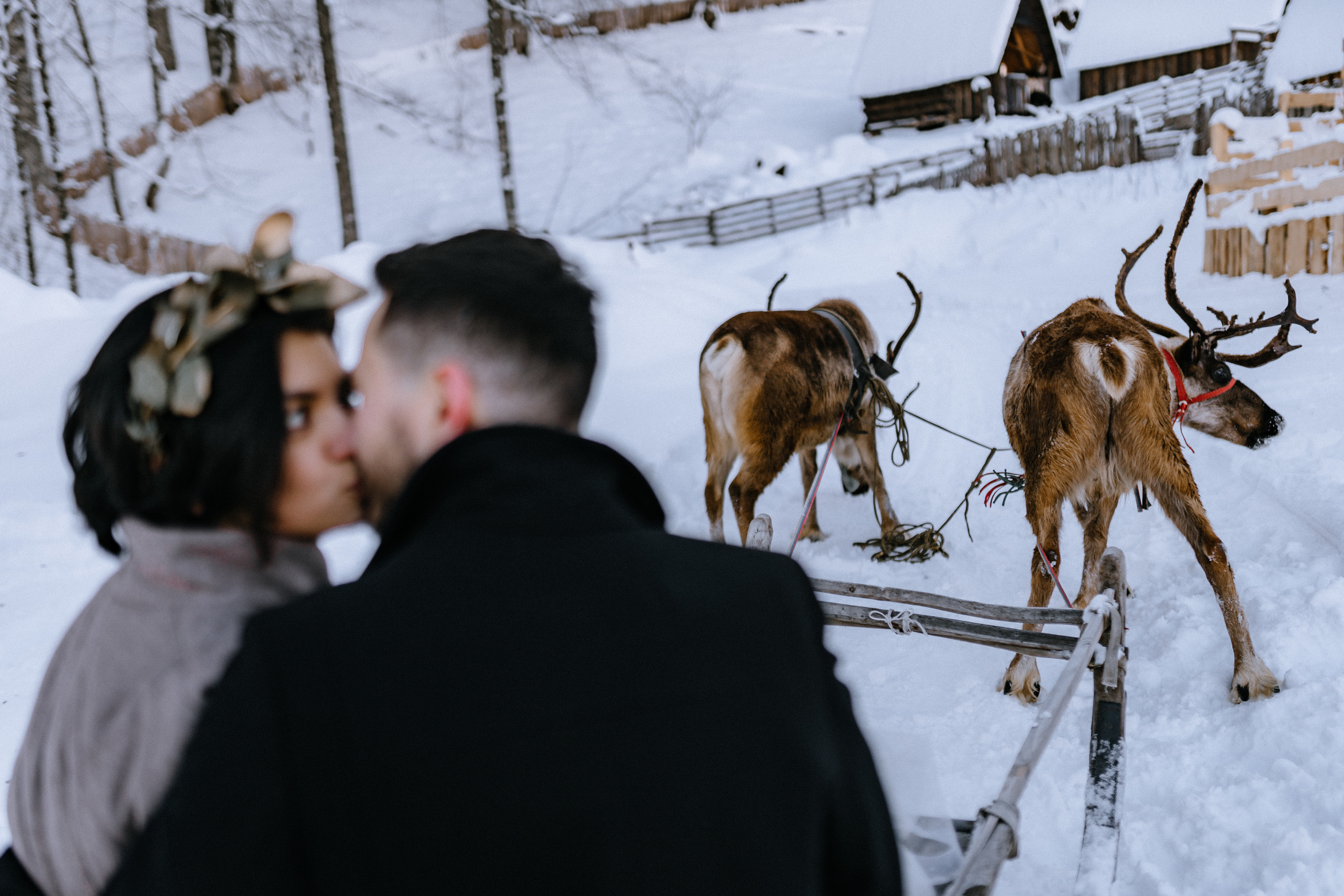 Майя — Дмитрий. Elopement Wedding Photographer