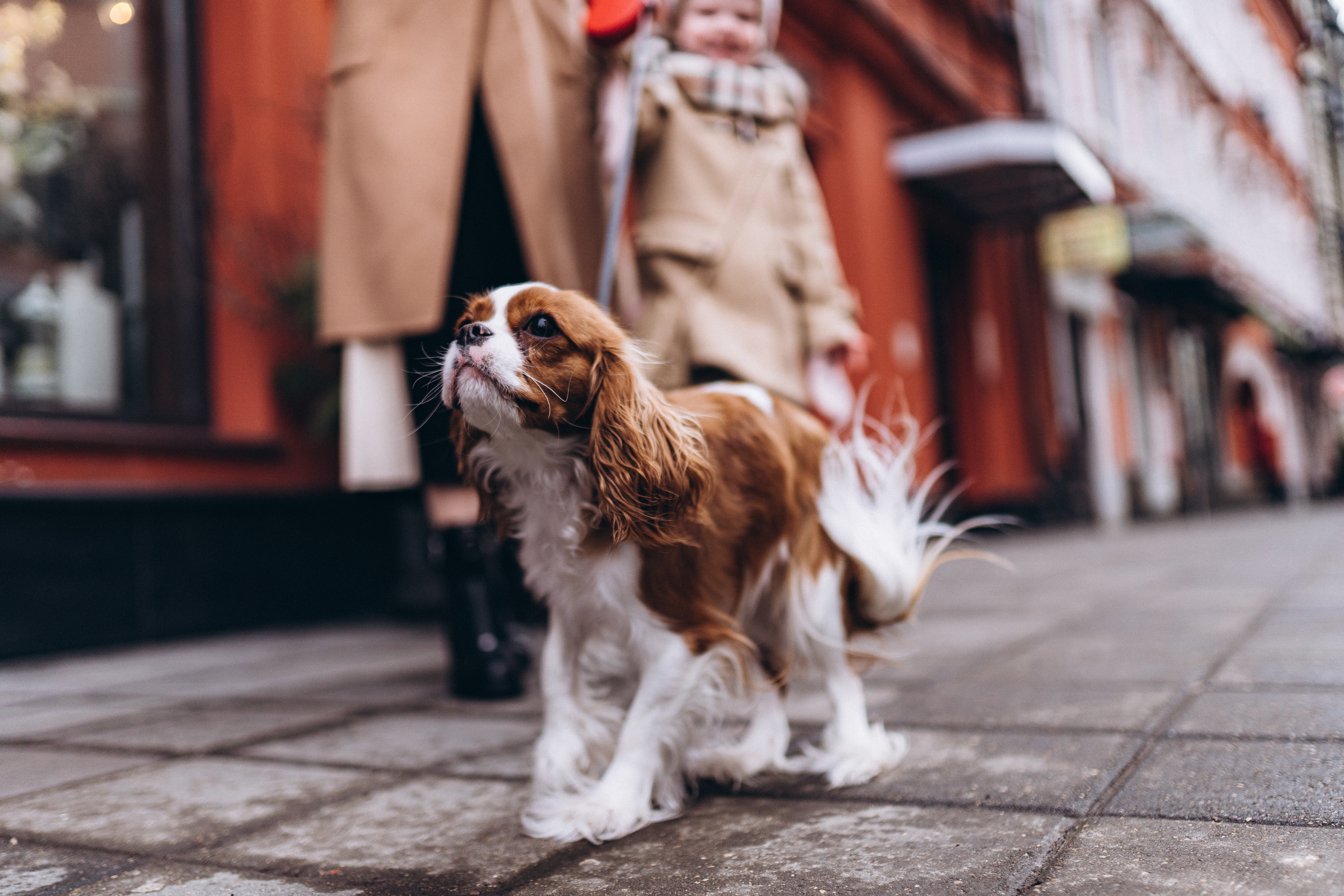 Дарья — Пелагея. Elopement Wedding Photographer
