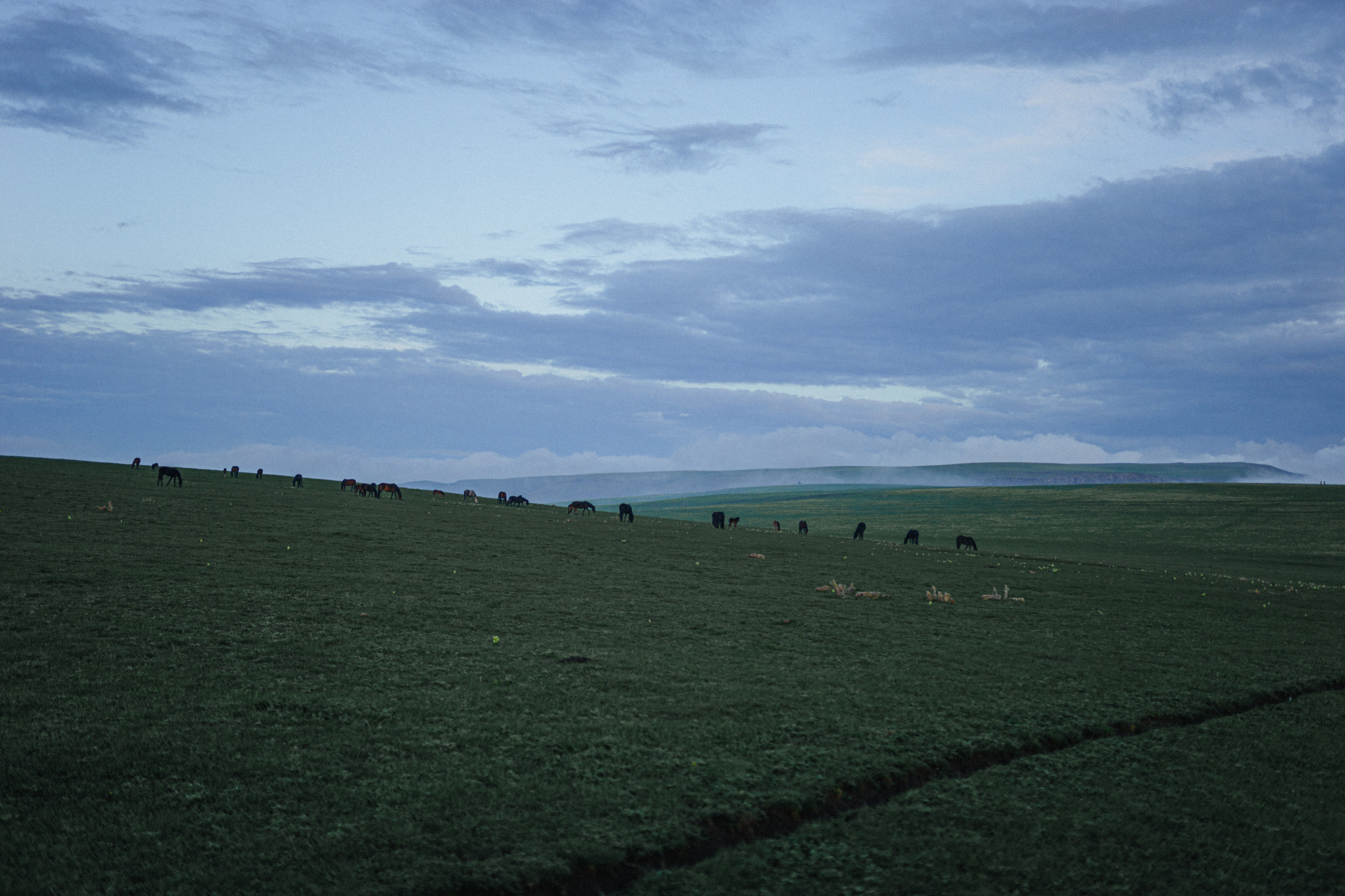 Azamat and Mari. Elopement Wedding Photographer