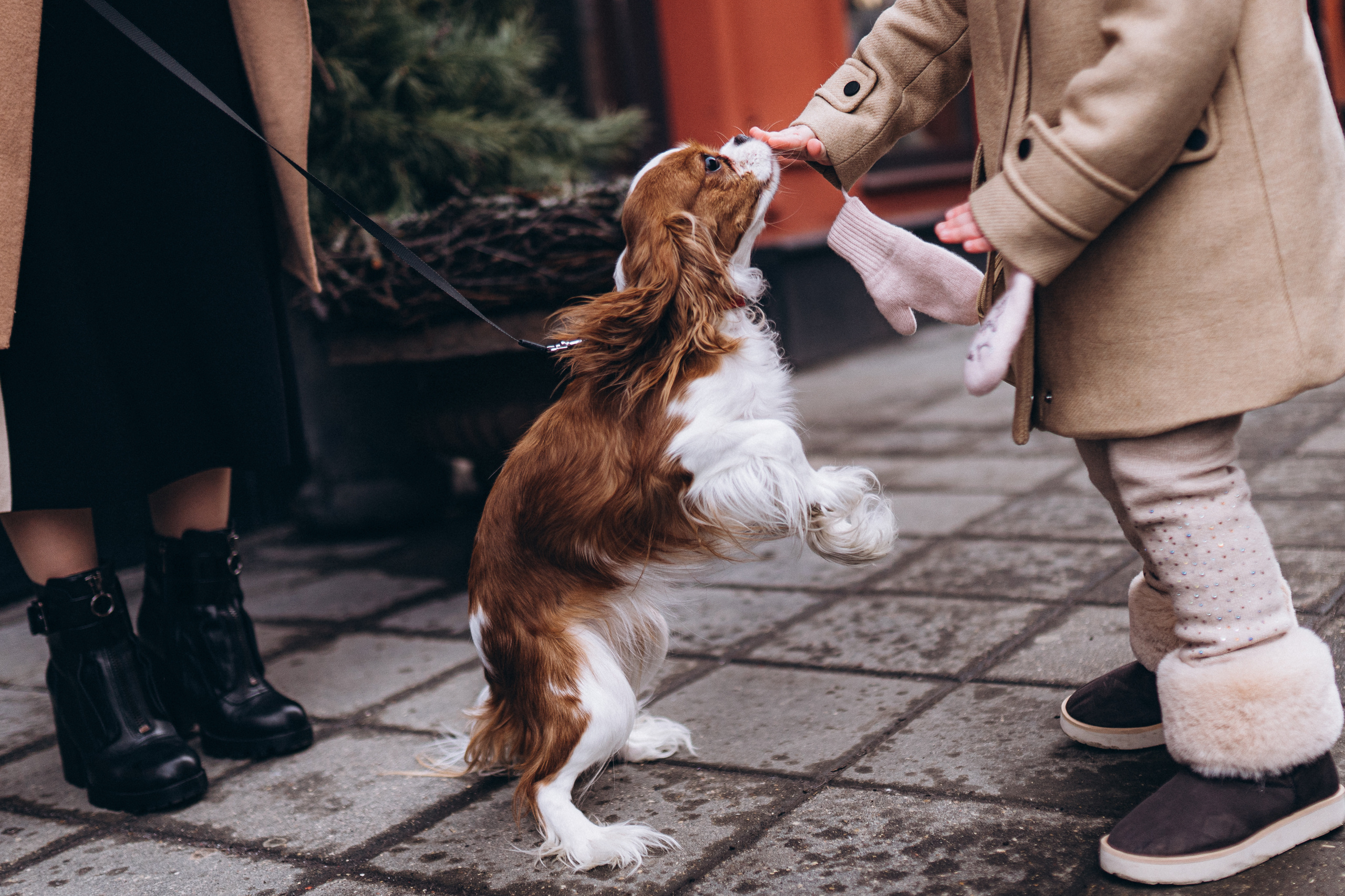 Дарья — Пелагея. Elopement Wedding Photographer
