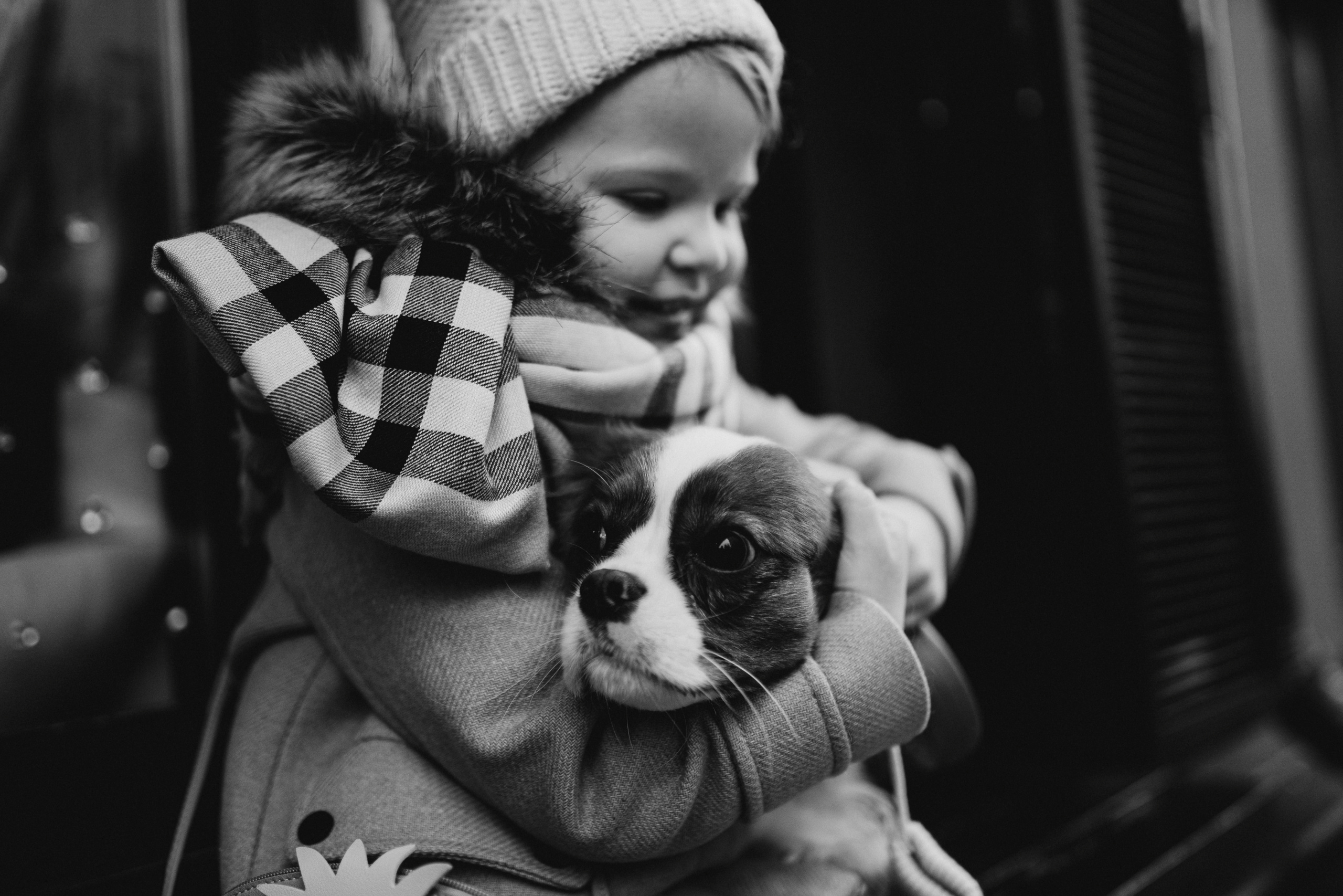 Дарья — Пелагея. Elopement Wedding Photographer