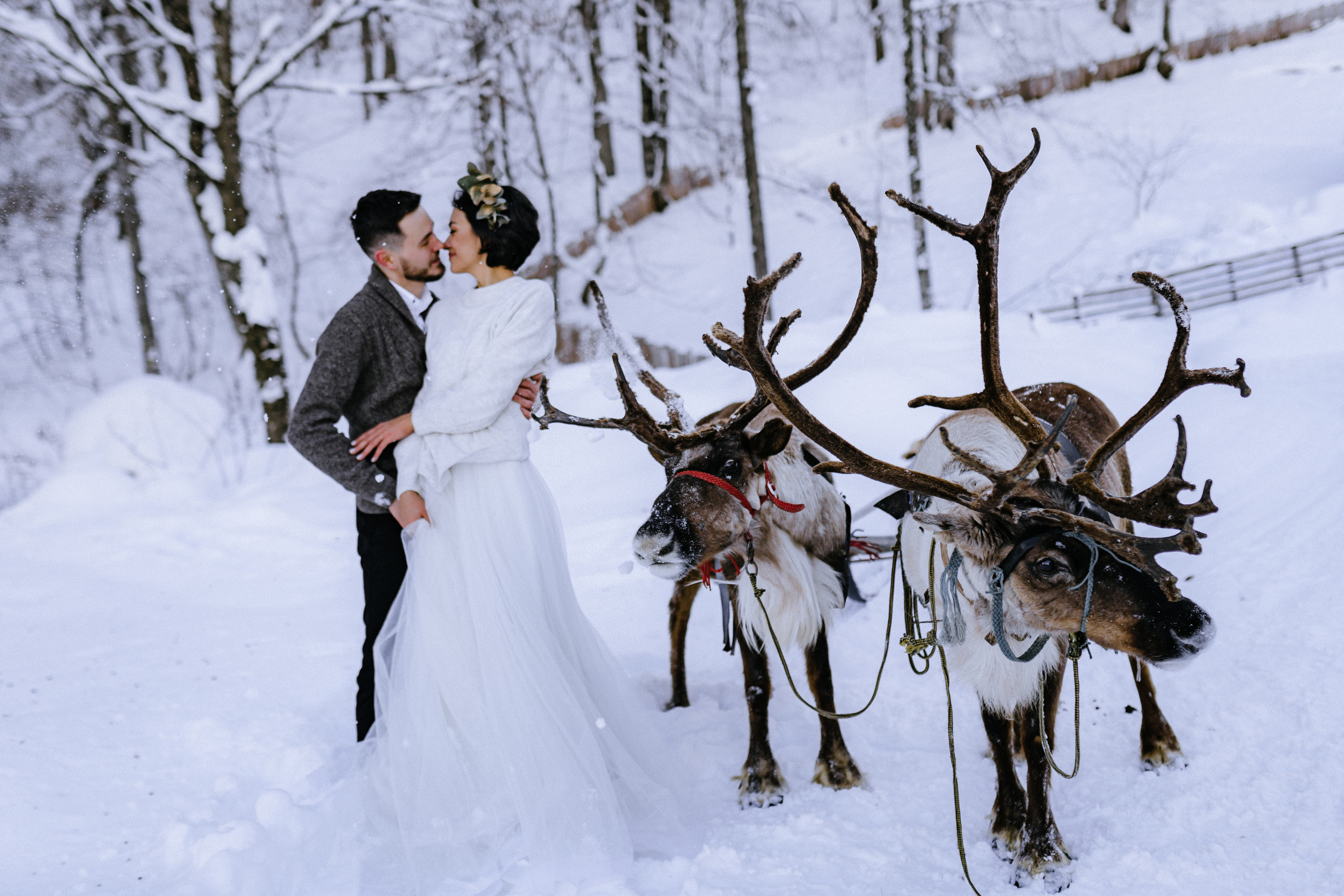 Майя — Дмитрий. Elopement Wedding Photographer