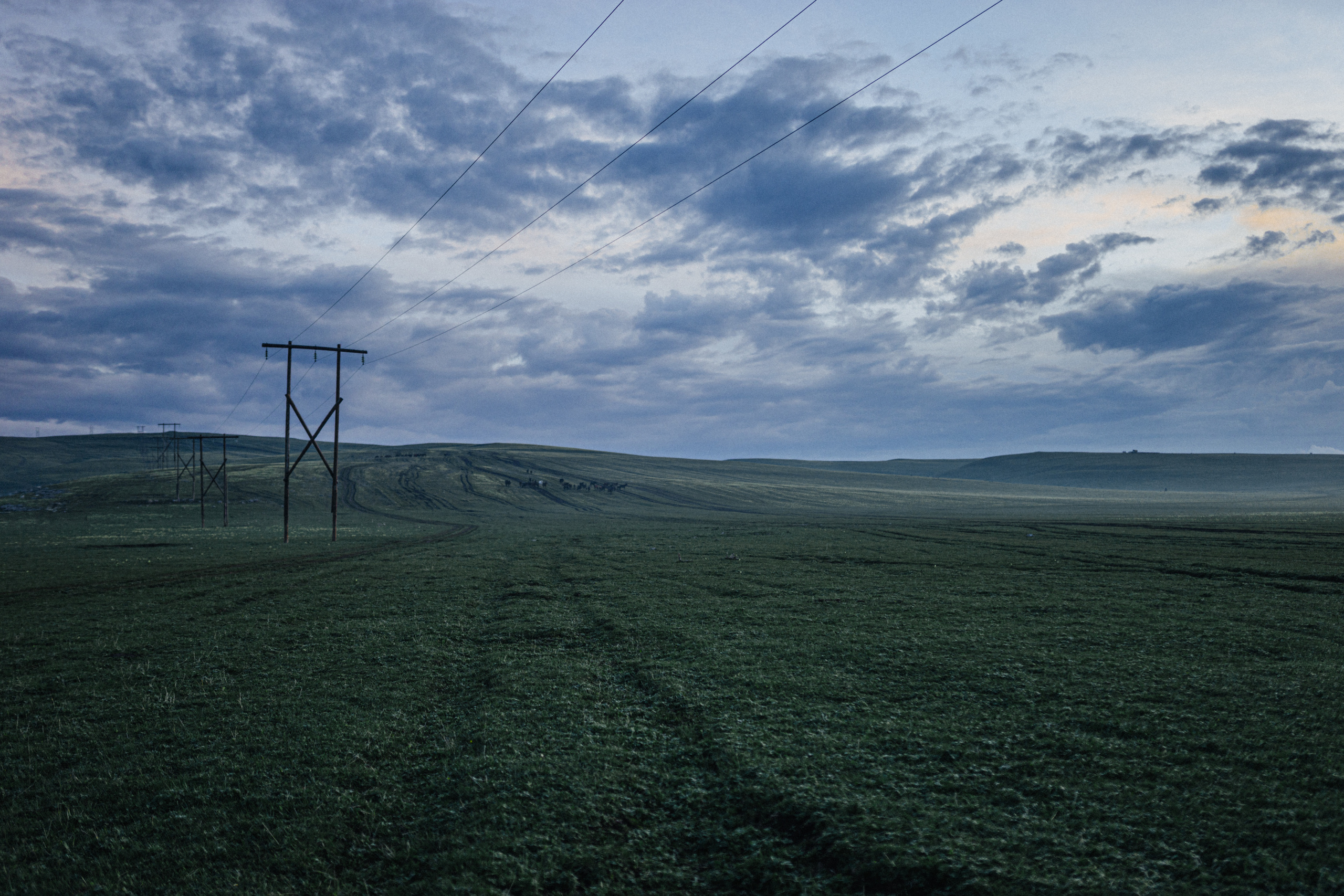 Azamat and Mari. Elopement Wedding Photographer