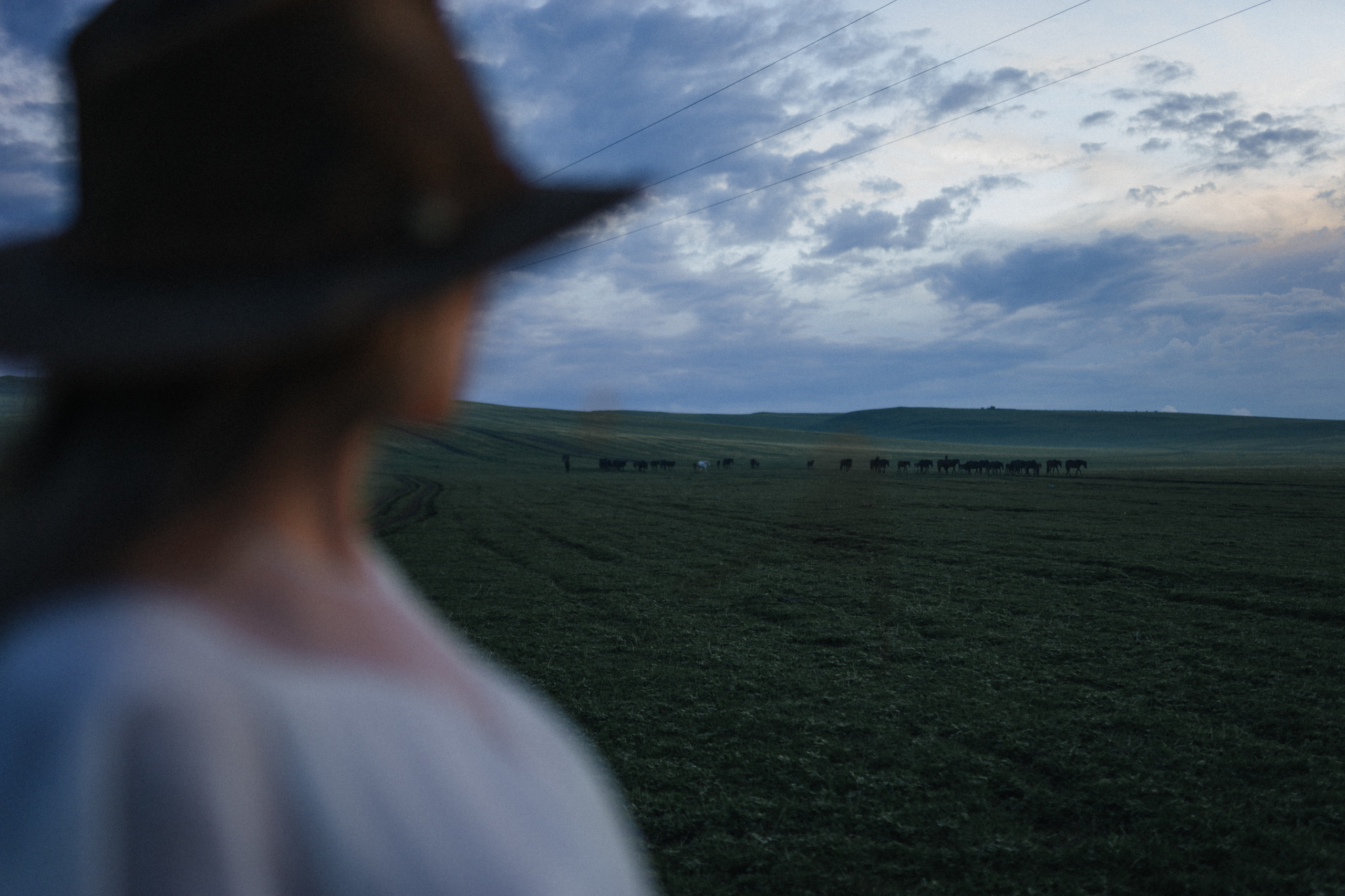 Azamat and Mari. Elopement Wedding Photographer