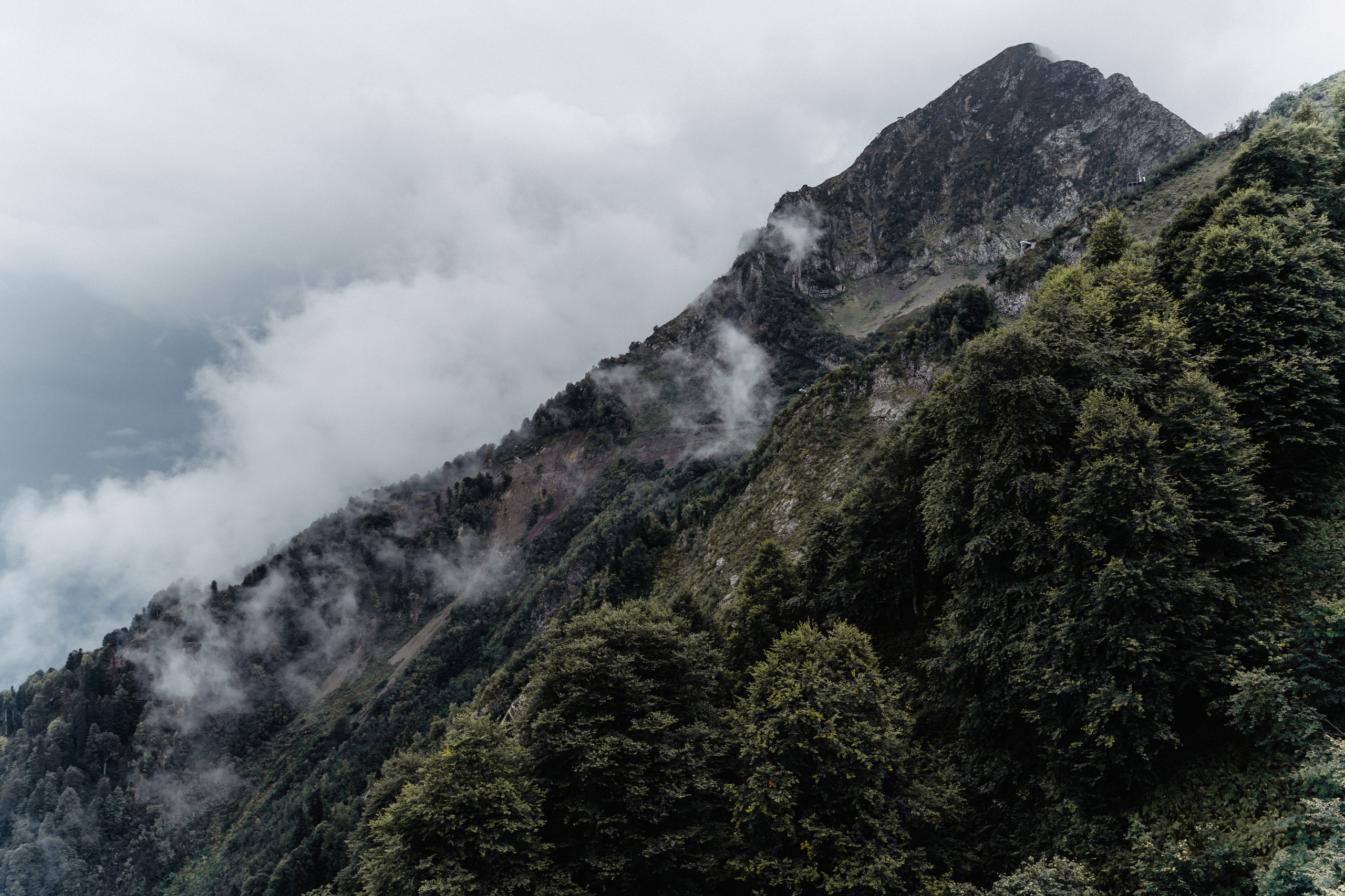 Алиса — Миша. Elopement Wedding Photographer