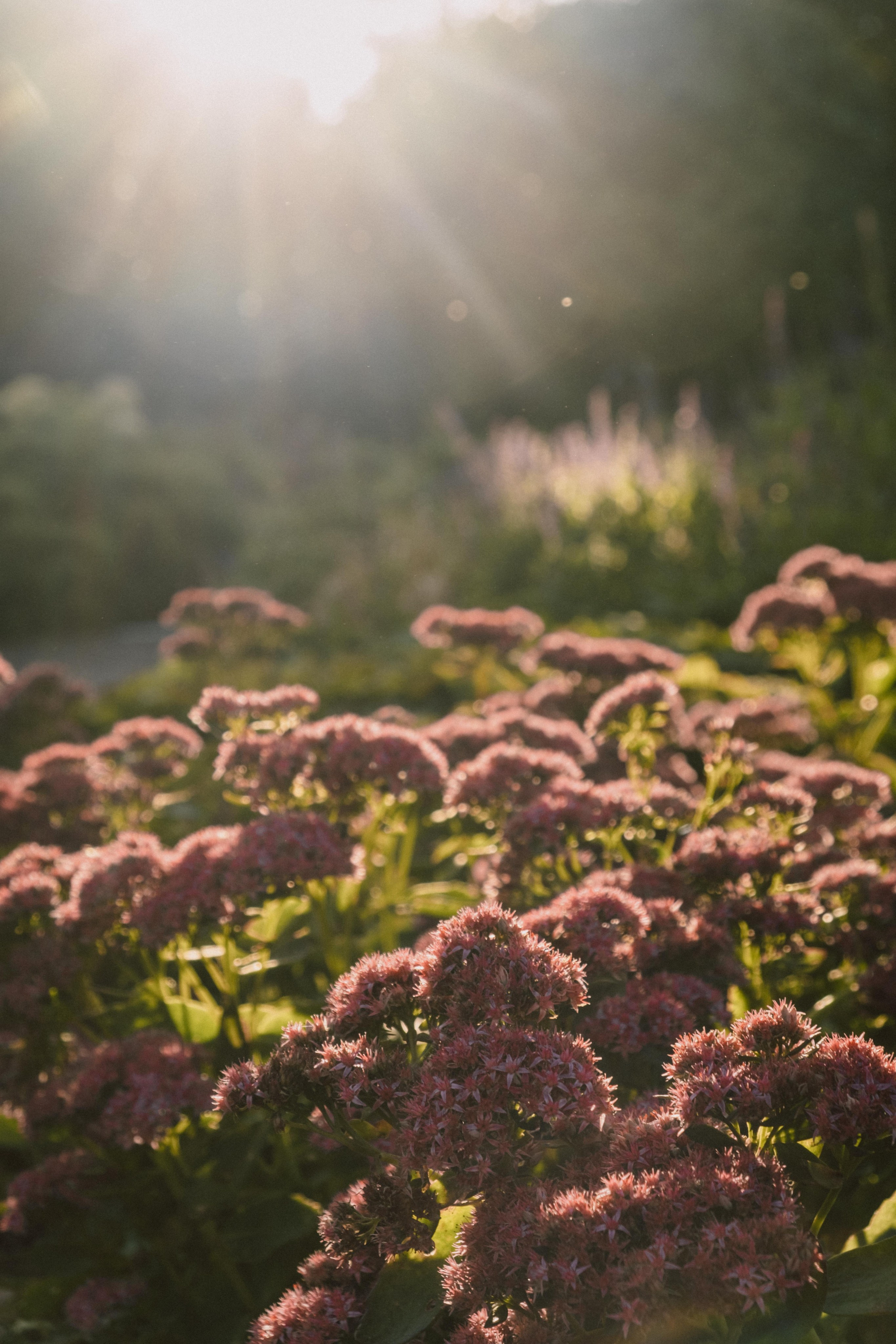 Замечательная повседневность. Контент-фотограф и видеограф в Перми