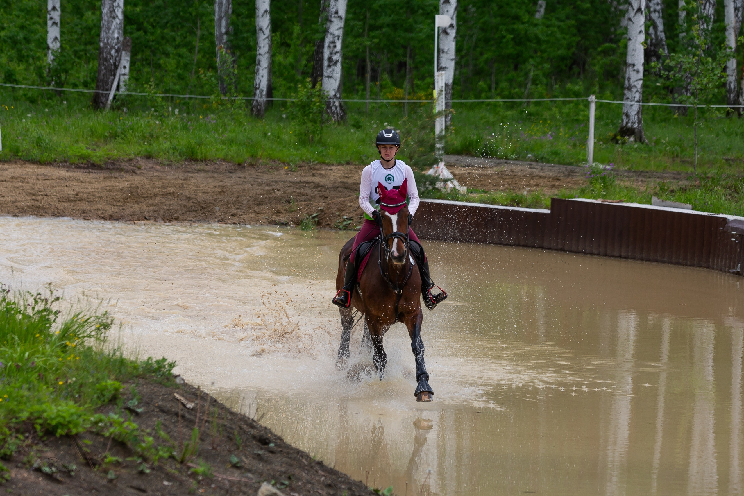 Фоторепортаж с конных соревнований. Фотограф Анималист Наталья Корс Екатеринбург