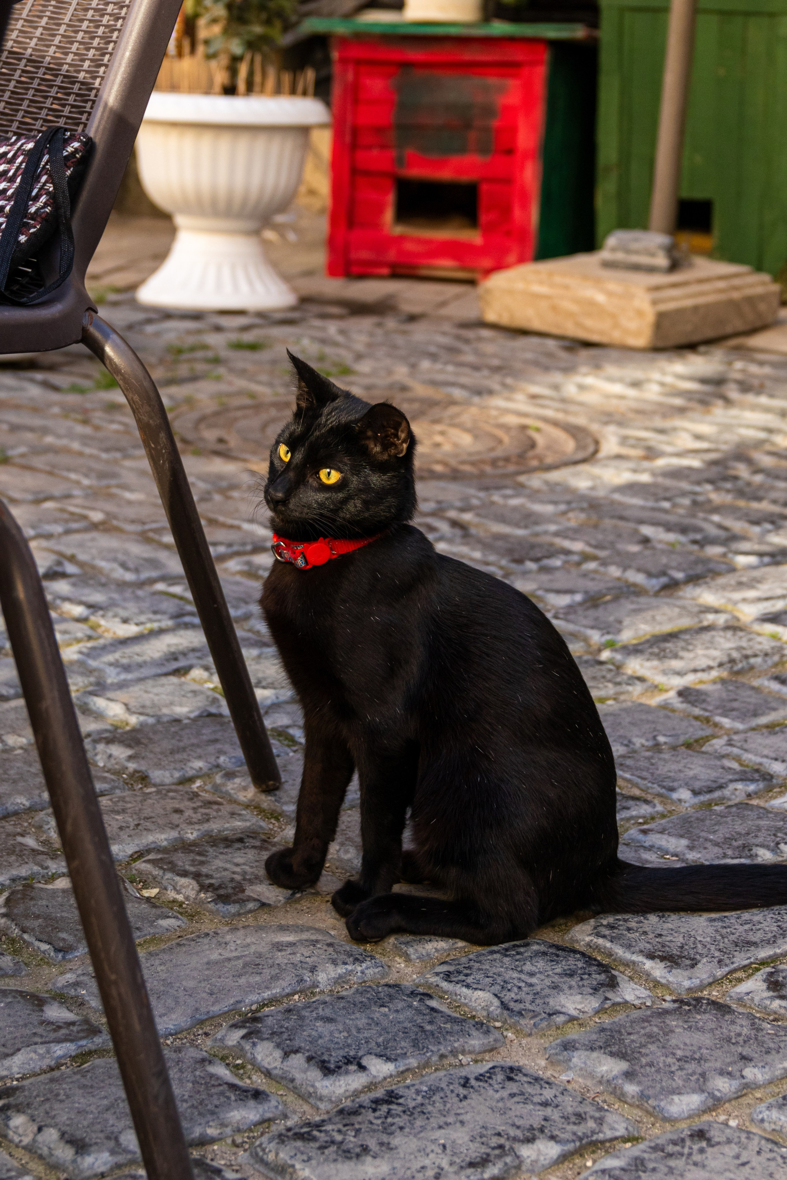 Баку. Наталия Фролова. Фотограф. Москва