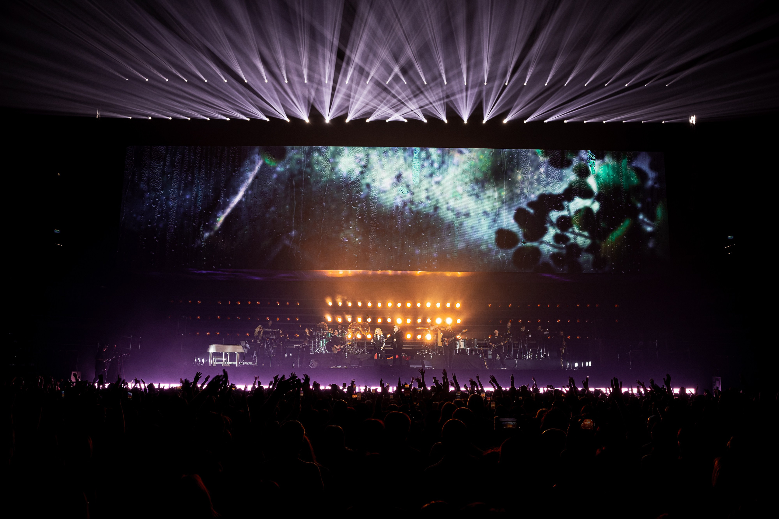 ВЛАДИМИР ПРЕСНЯКОВ / 2024. OOPS