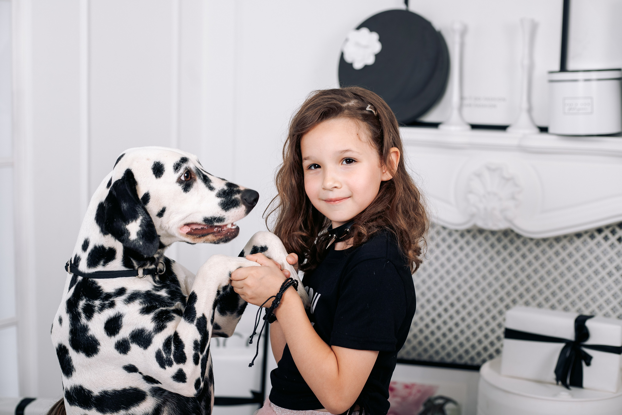 Фотосессия с далматинцами в фотостудии. Фотограф в Санкт-Петербурге, Анна Скворцова