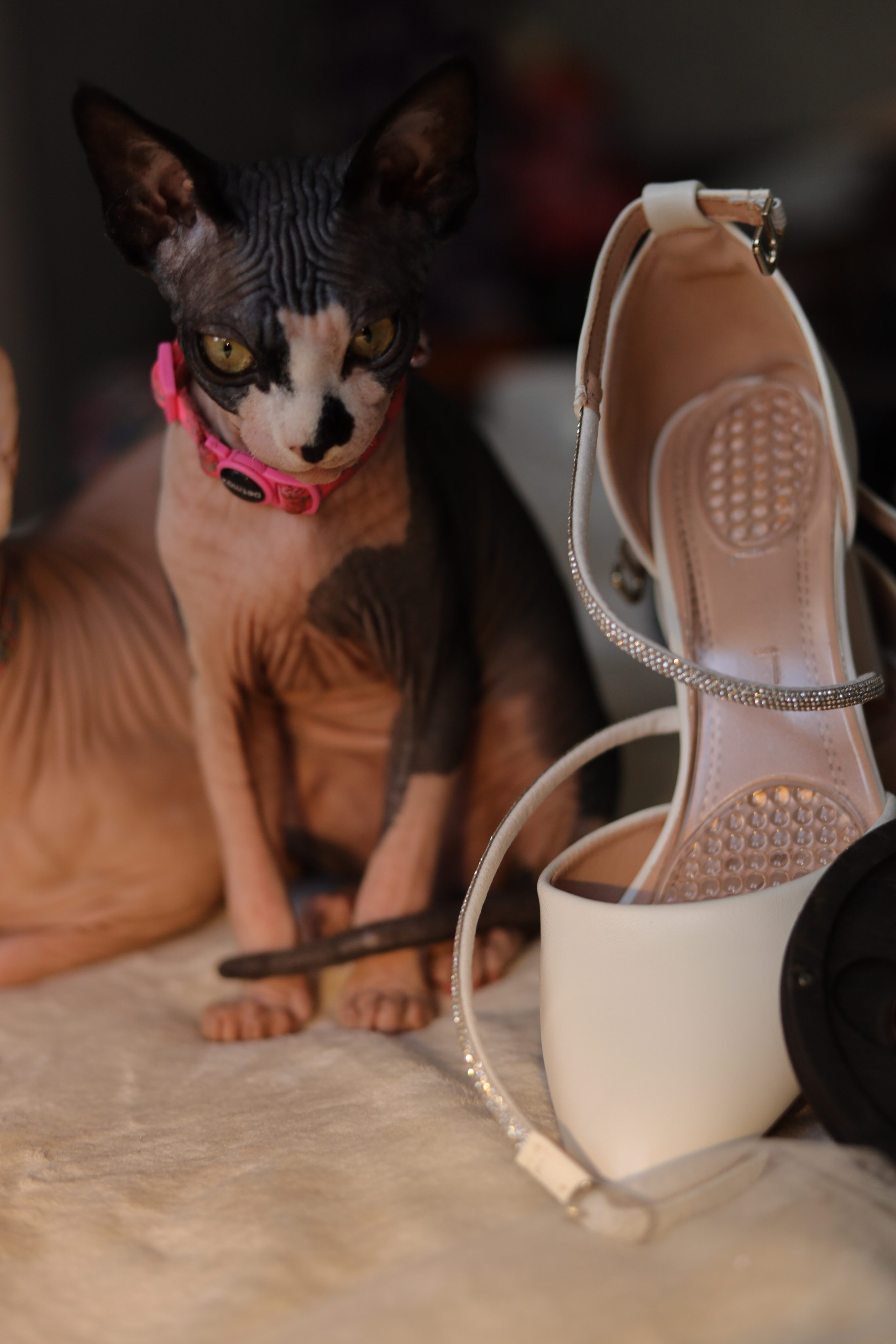 Егор&Ирина. Фотограф Надежда Гольцева