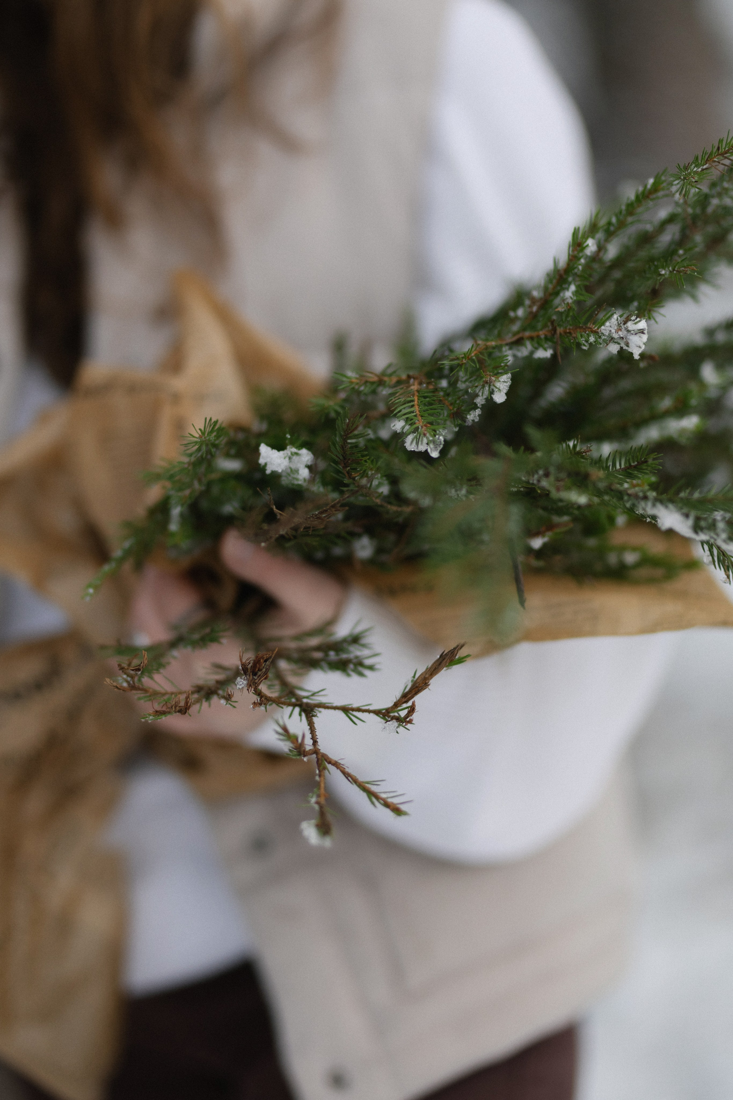 «ЗИМНИЙ ЛЕС». Maria Startseva Photo