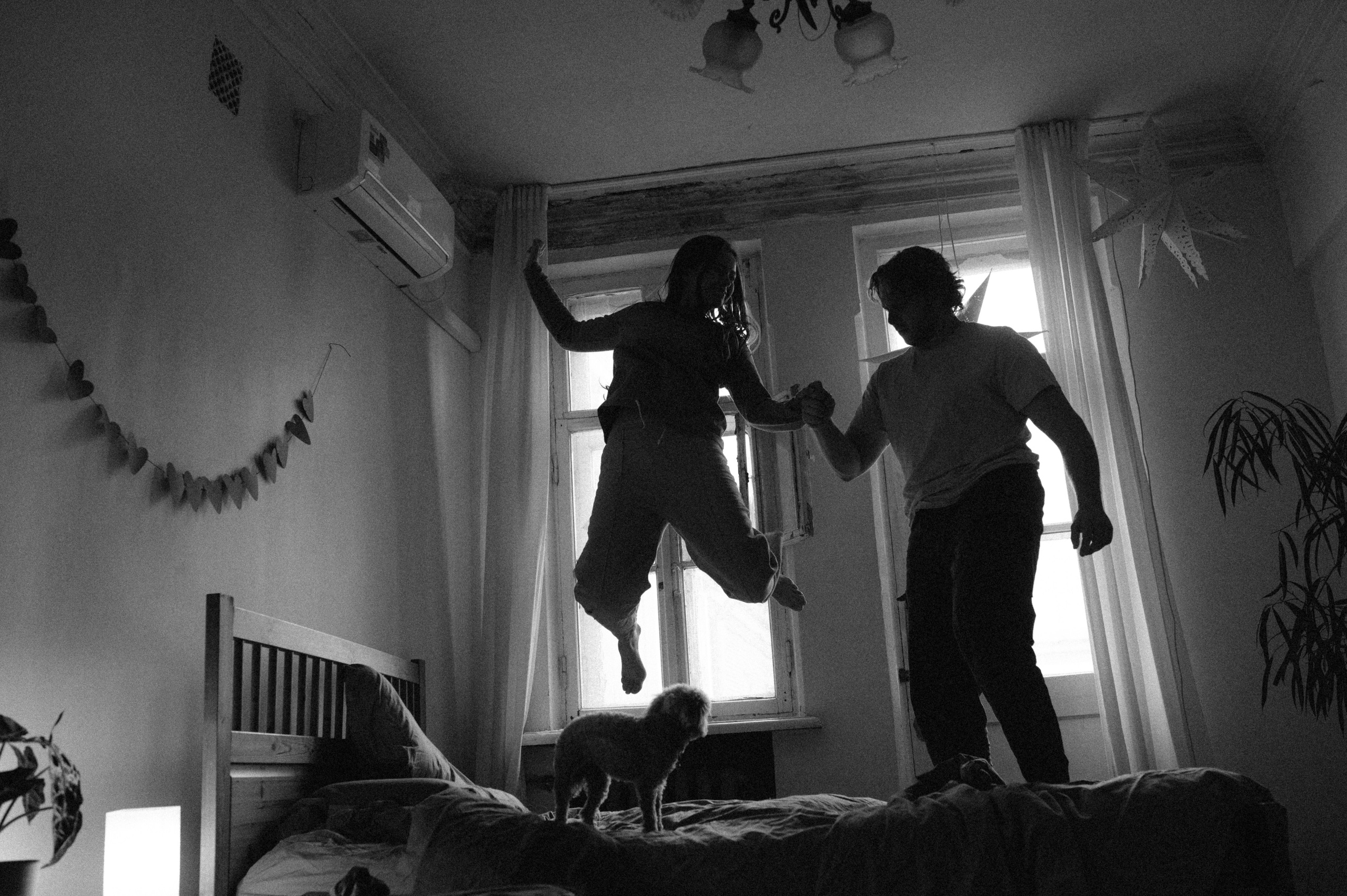 Ання и её кудрявая команда. Фотограф анималист в Москве Ольга Агушева