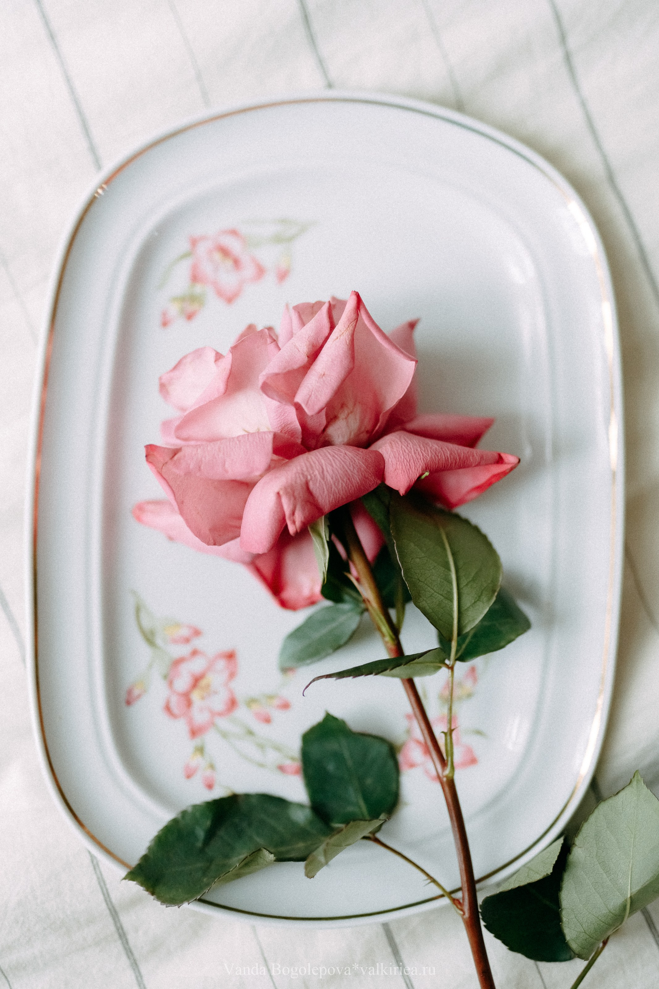 Анастасия. Будуарная съемка. Фотосъемка, свадебная фотосъемка, Москва, Нижний Новгород