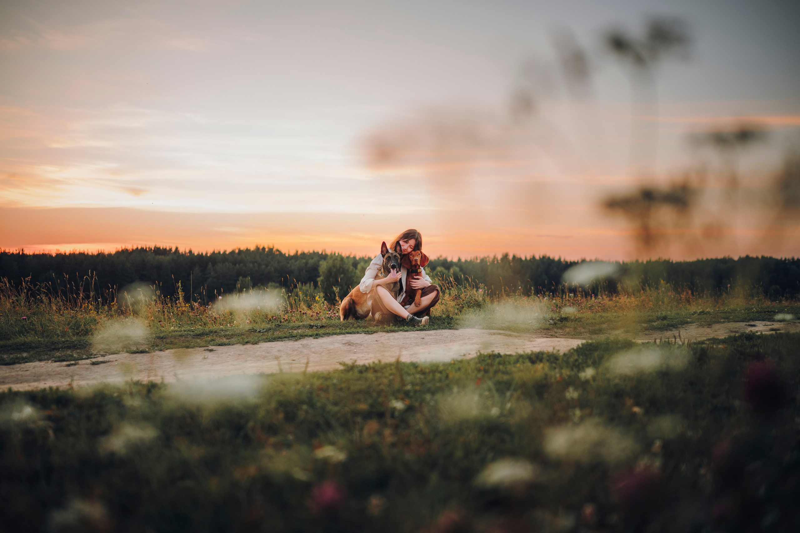 Маша, Трисс и Эста. Семейный фотограф анималист Ананьева Мария — Москва