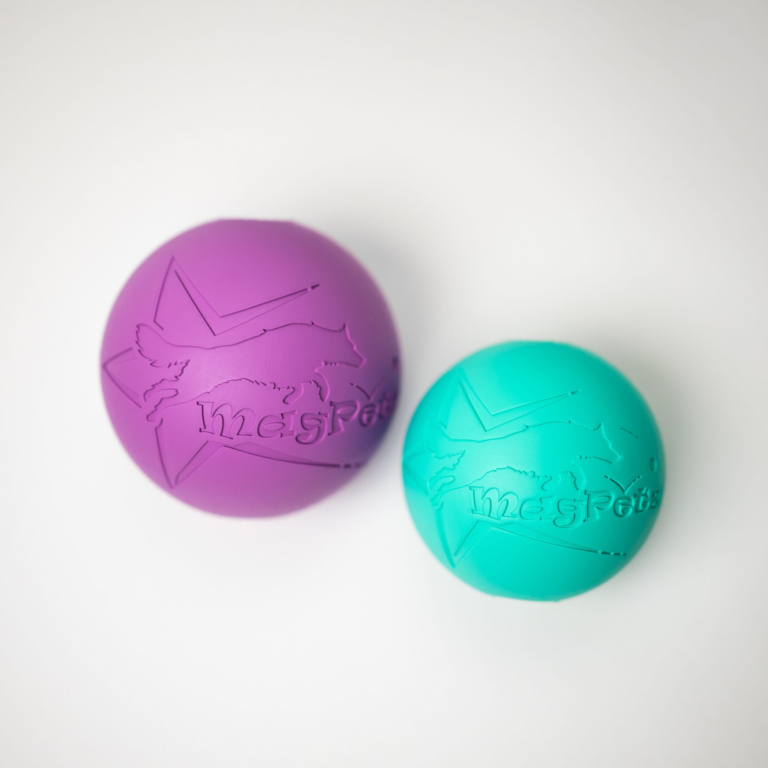 Magpetz. Семейный фотограф анималист Ананьева Мария — Москва