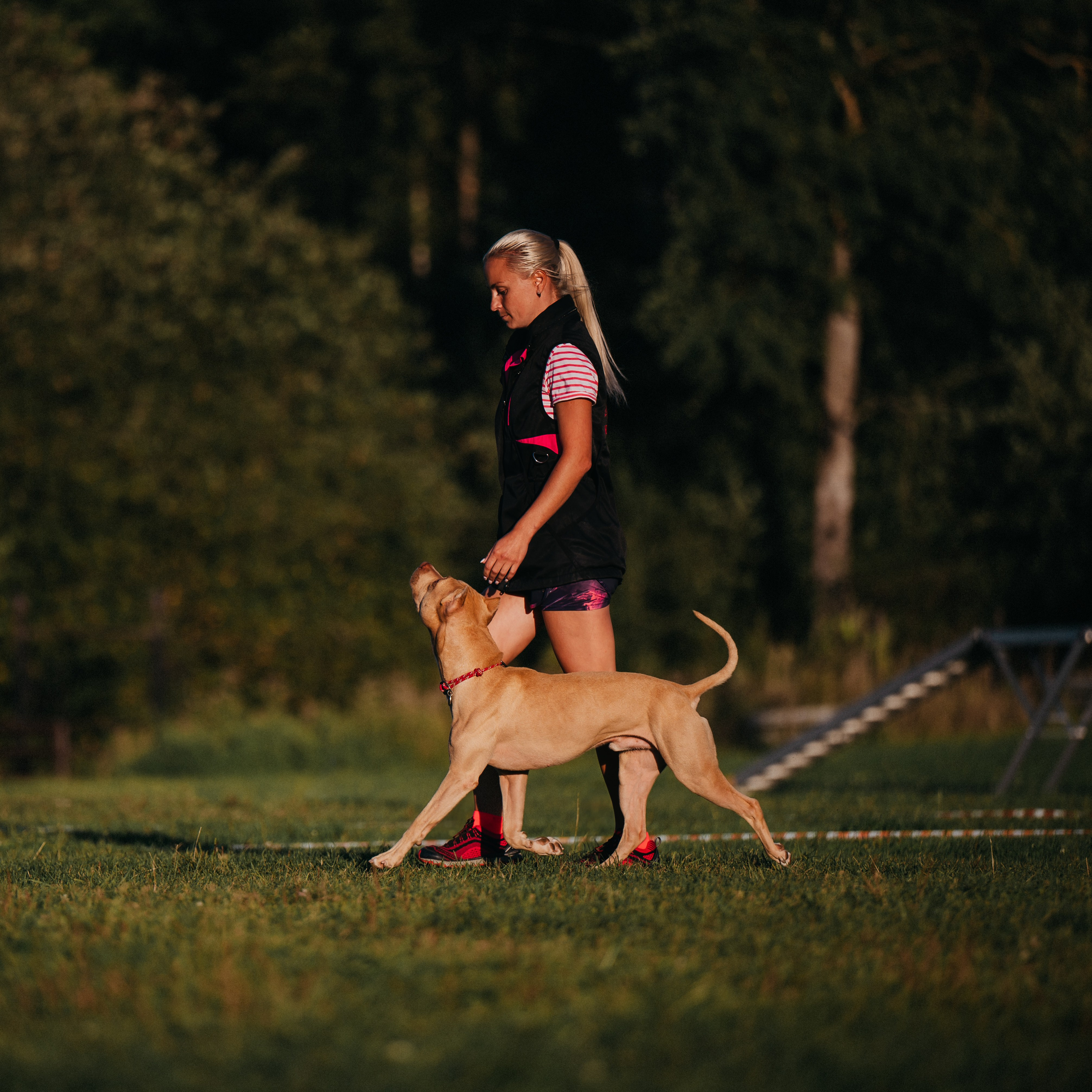 Аня и Печенька. Семейный фотограф анималист Ананьева Мария — Москва