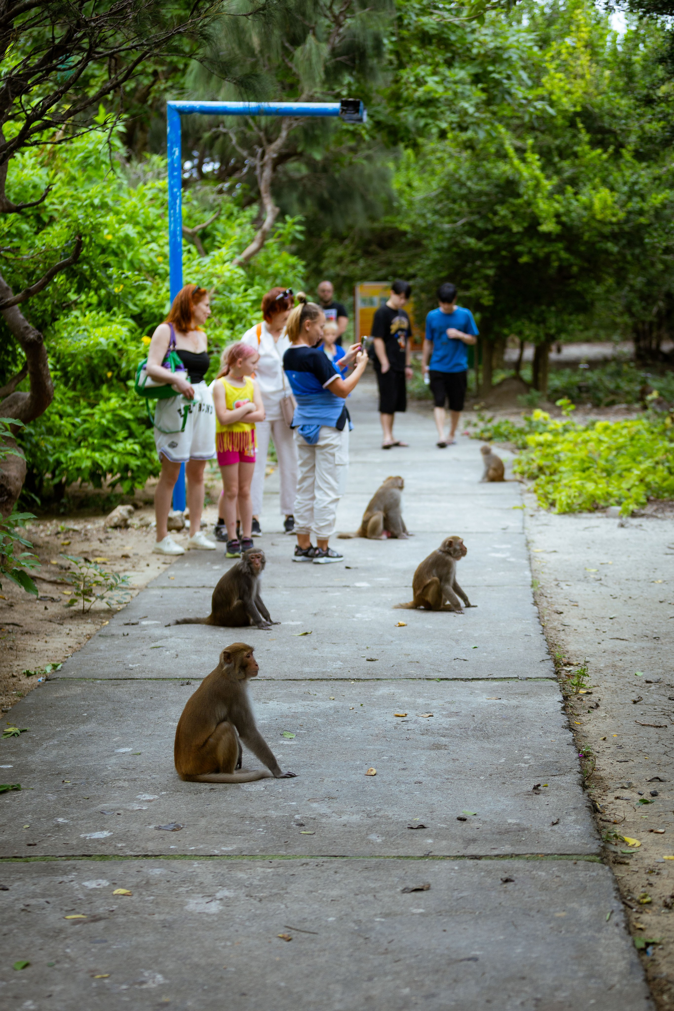 Вьетнам (зима 2025-2026). Фотограф Виноградов Константин
