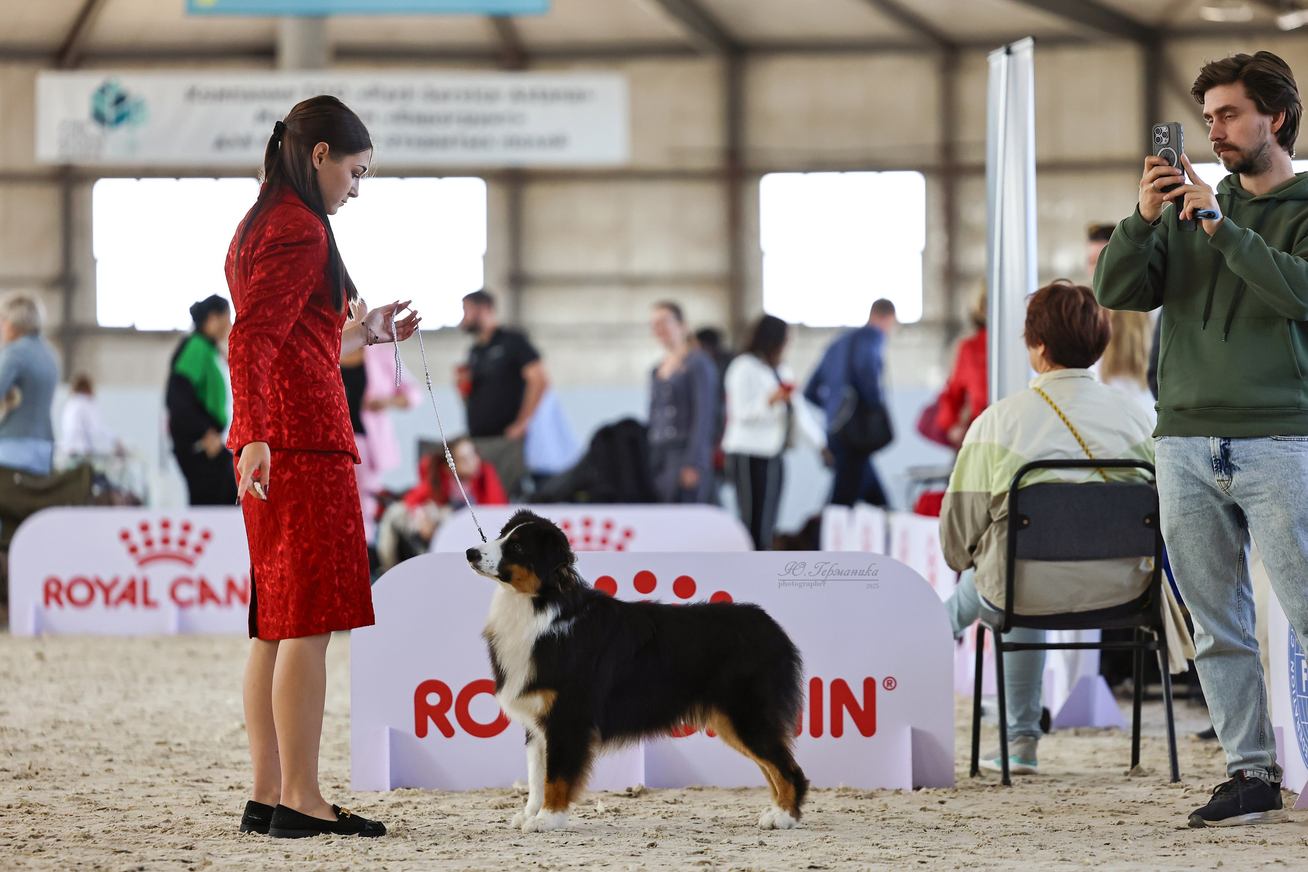 Астана 2хCACIB 26-28.09.2025. Фотограф-анималист Юлия Германика